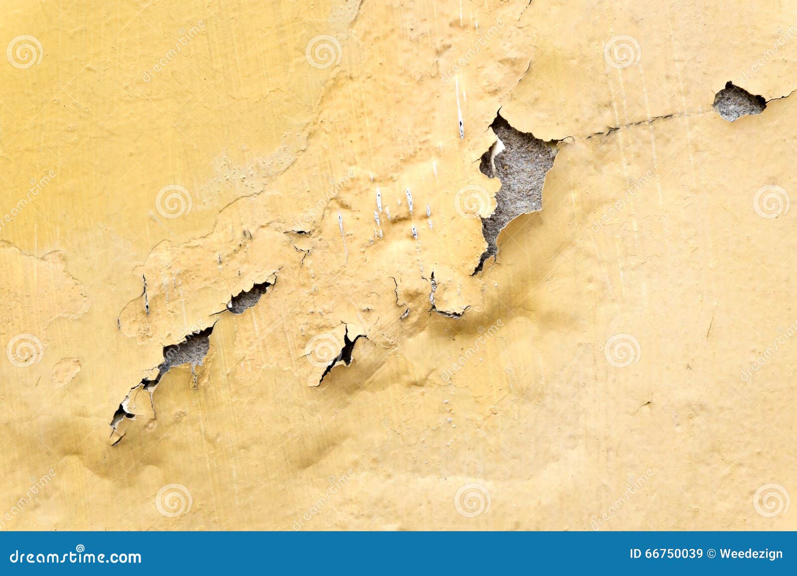 Acrorip 8 1 Crack Erodes