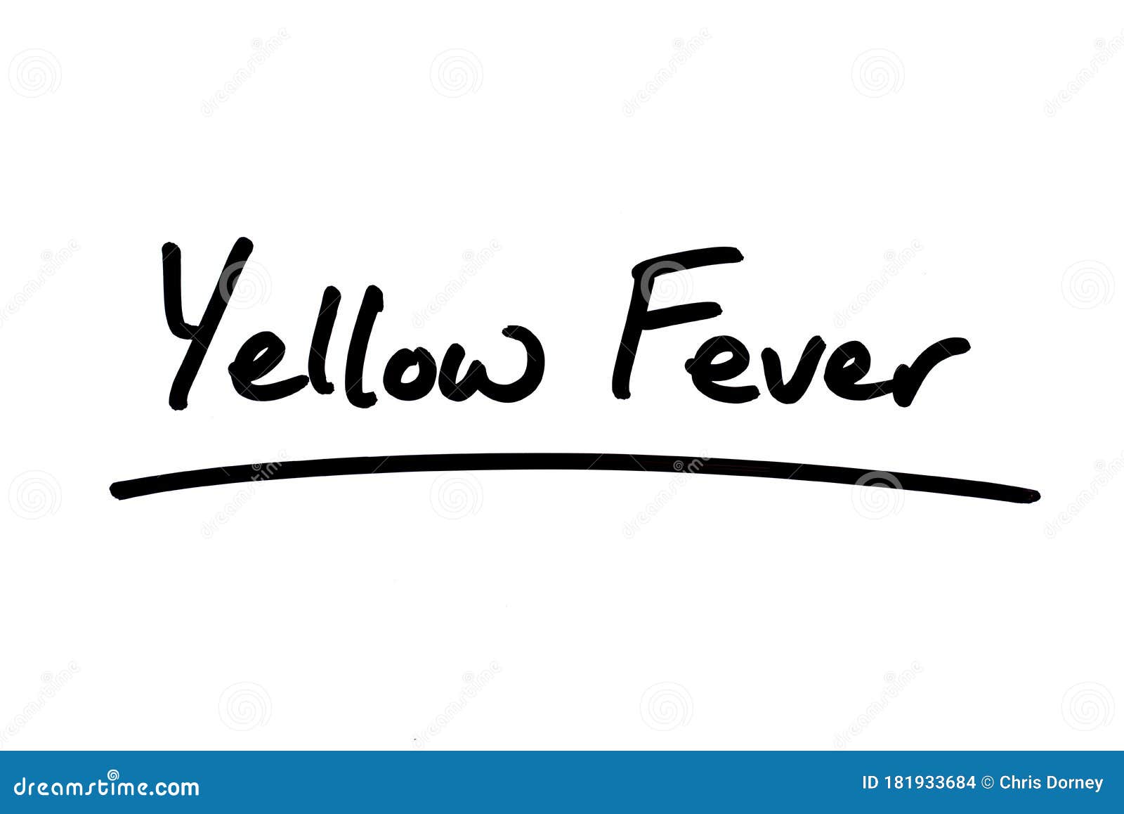 The Yellow Fever Mosquito (Aedes Aegypti) Cartoon Vector