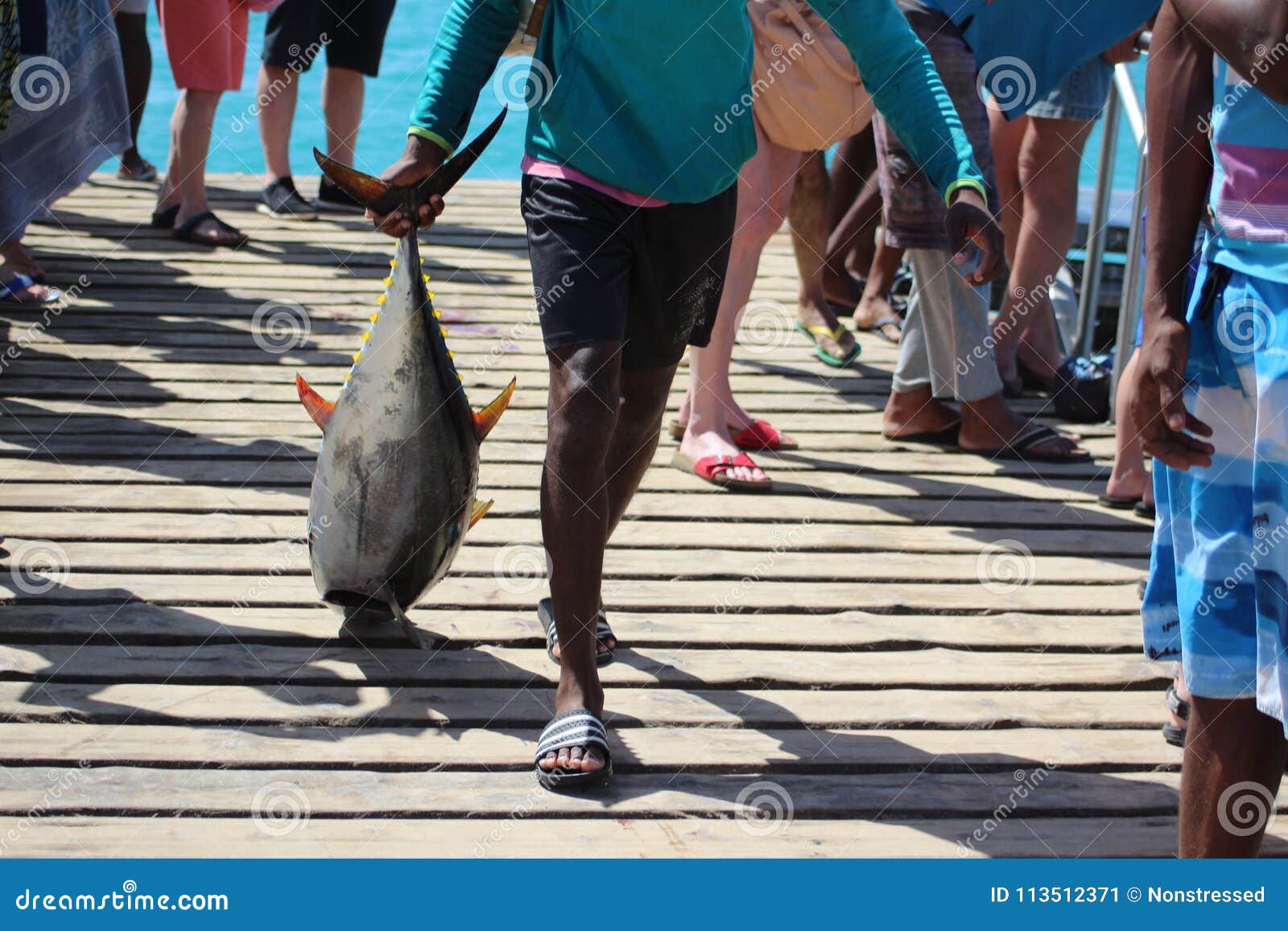 a yellow fin tuna s dragged unceramoniuosly across the pier