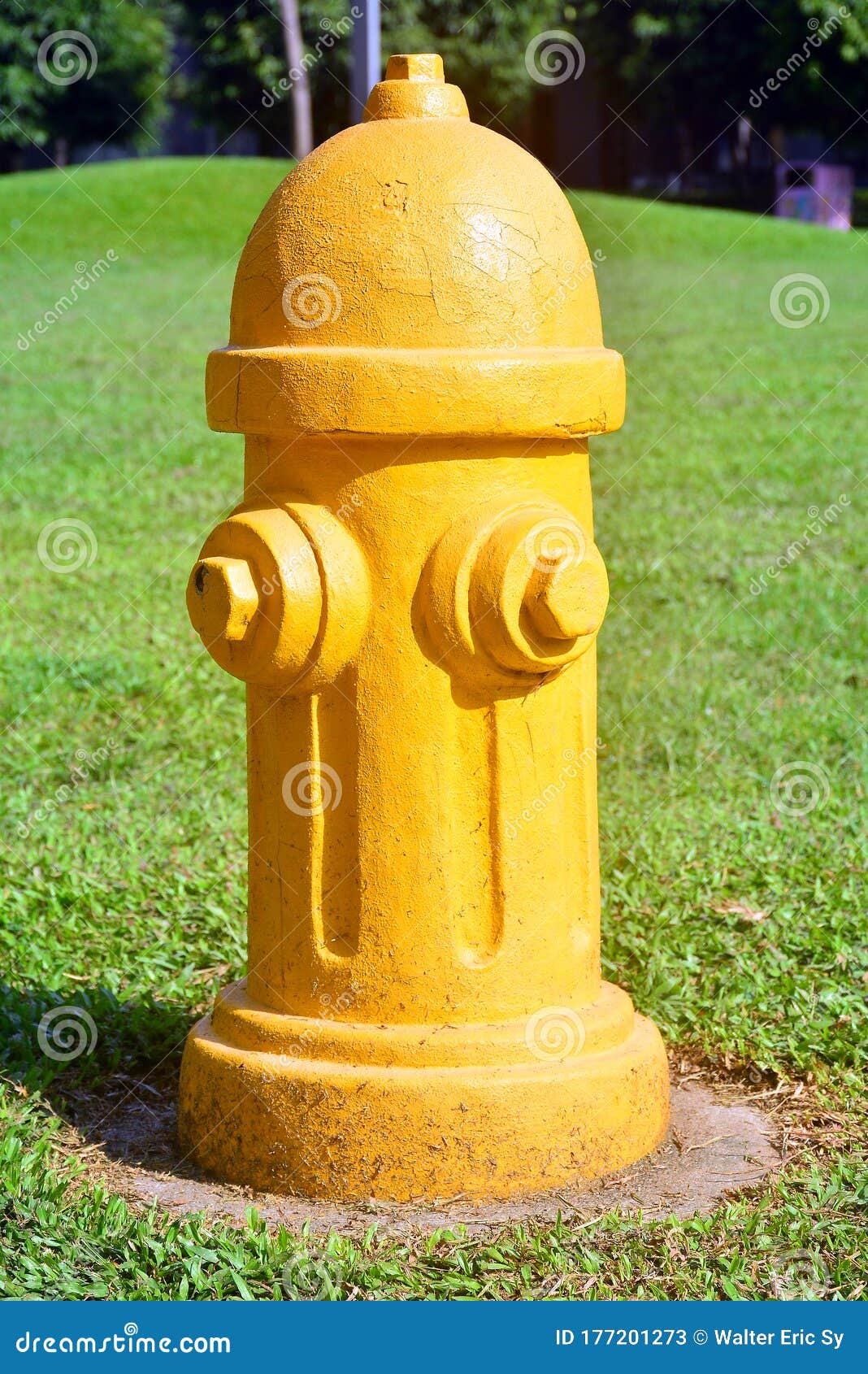 Yellow Fire Hydrant Reserve In The Park Stock Image ...
