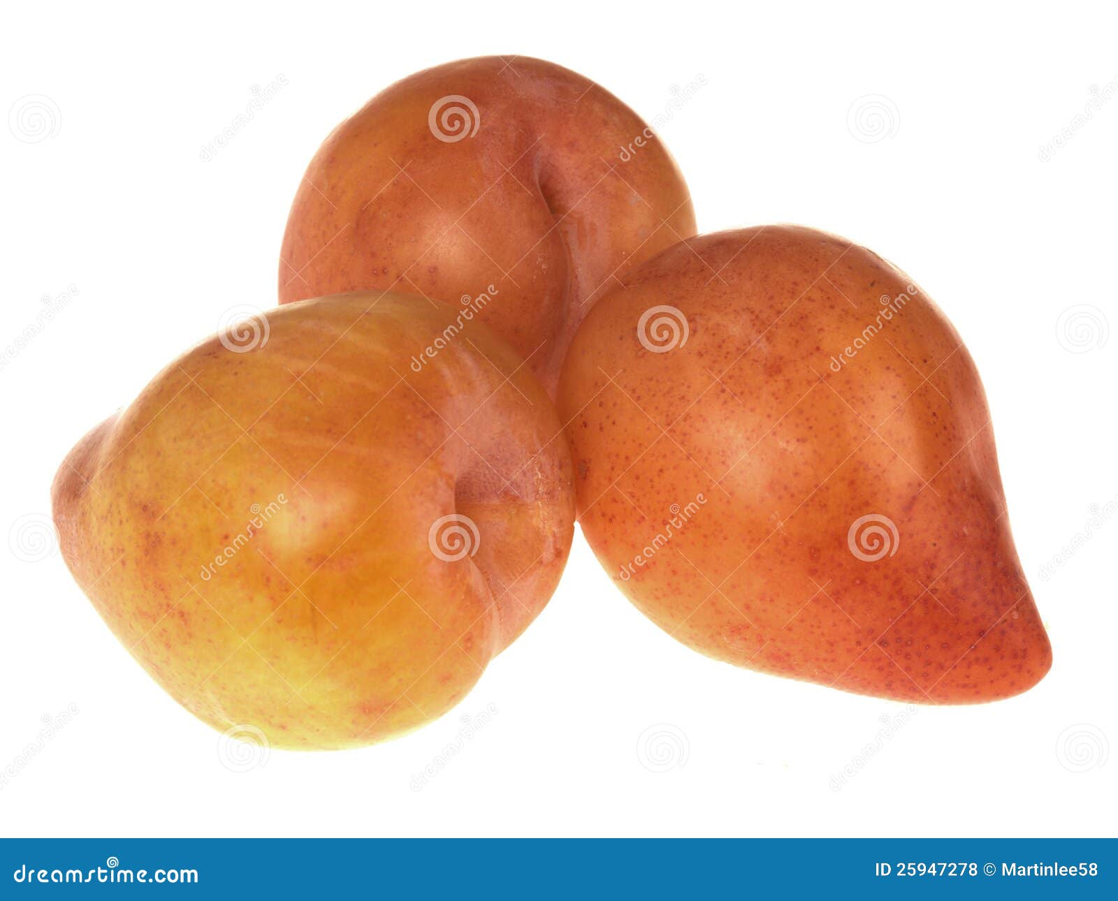 Yellow Flesh Plums stock photo. Image of summer, stone 25947278