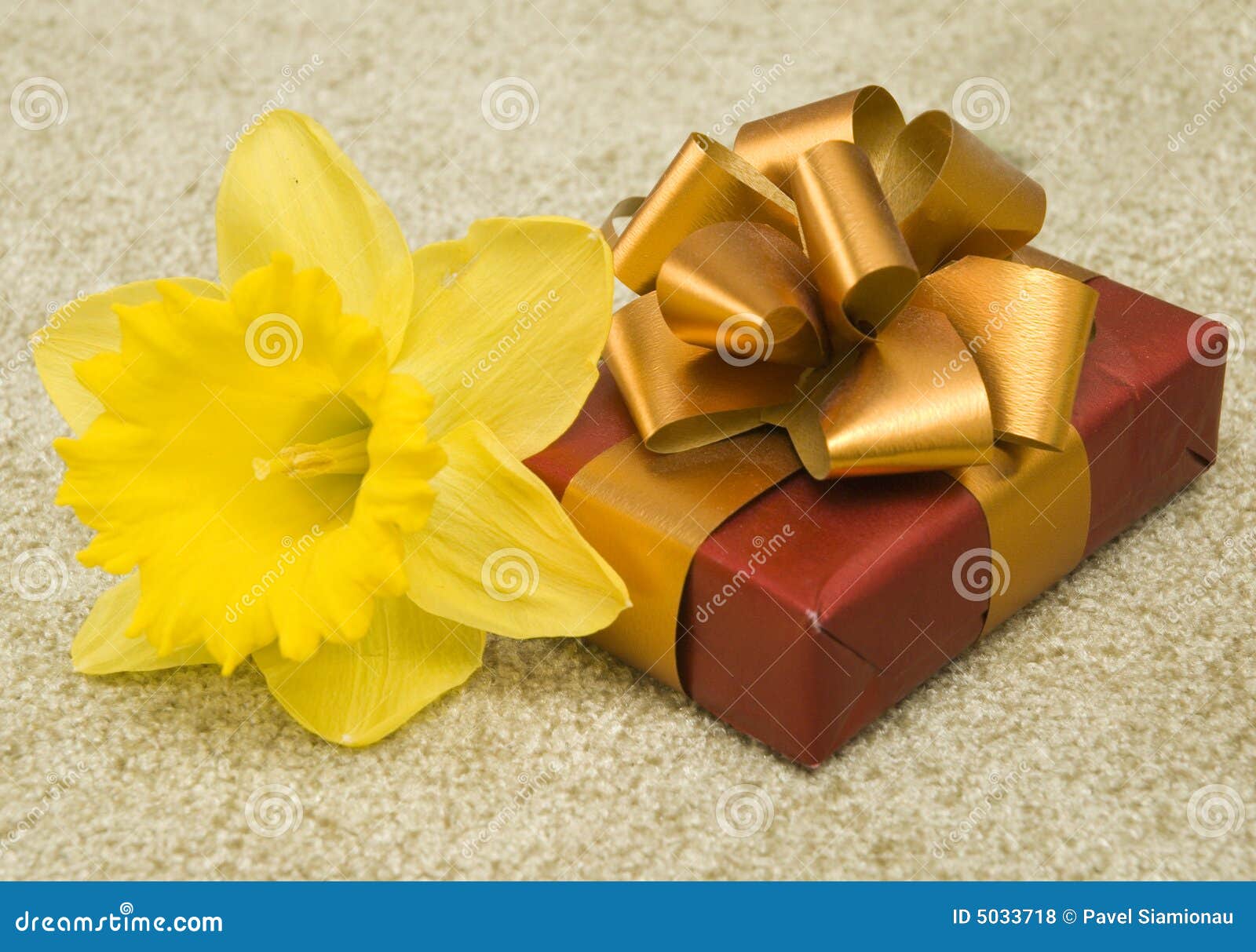 Yellow flower and gift stock photo. Image of gold, background 5033718