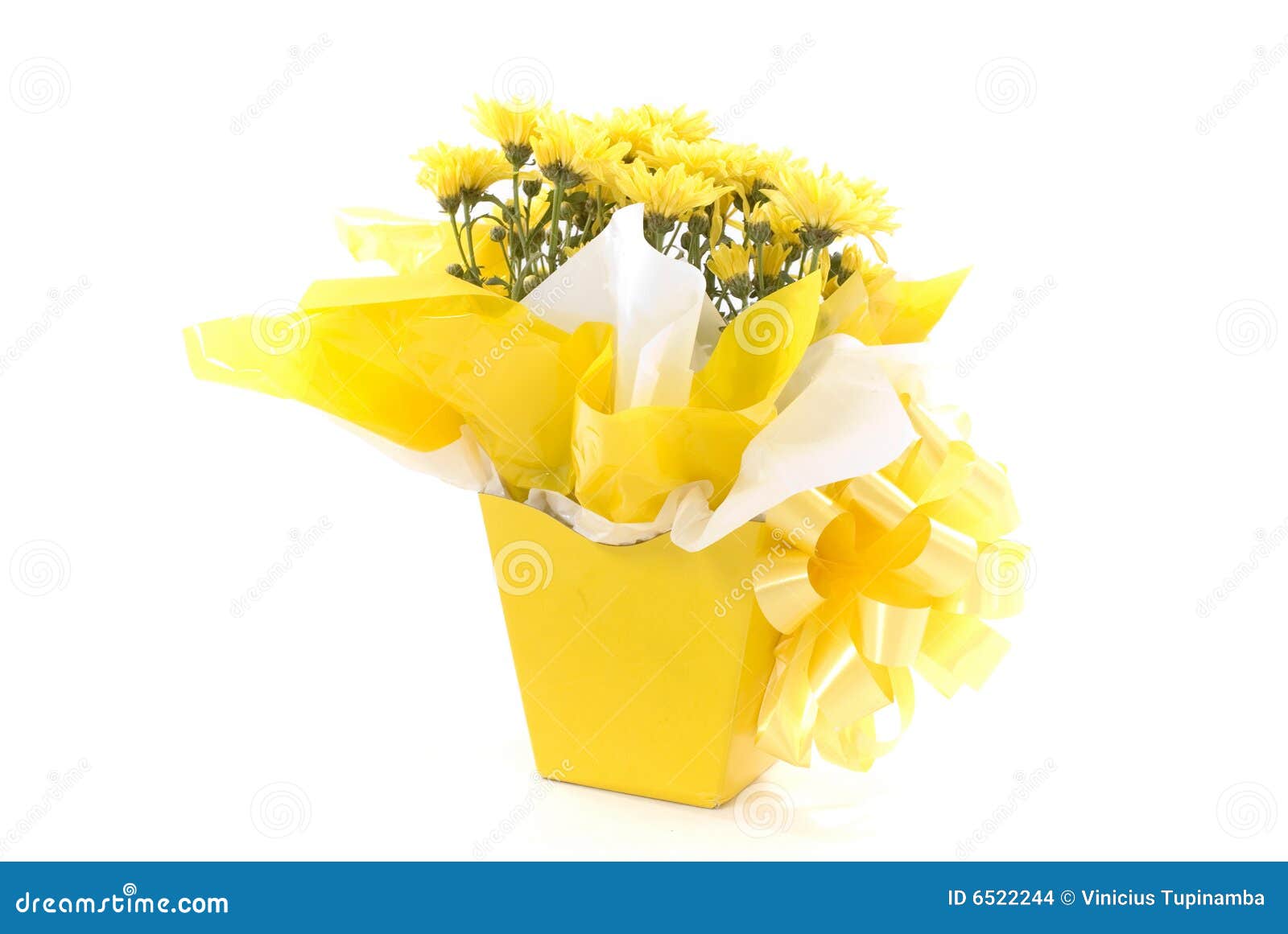 Yellow Flower Gift stock photo. Image of paper, birthday 6522244
