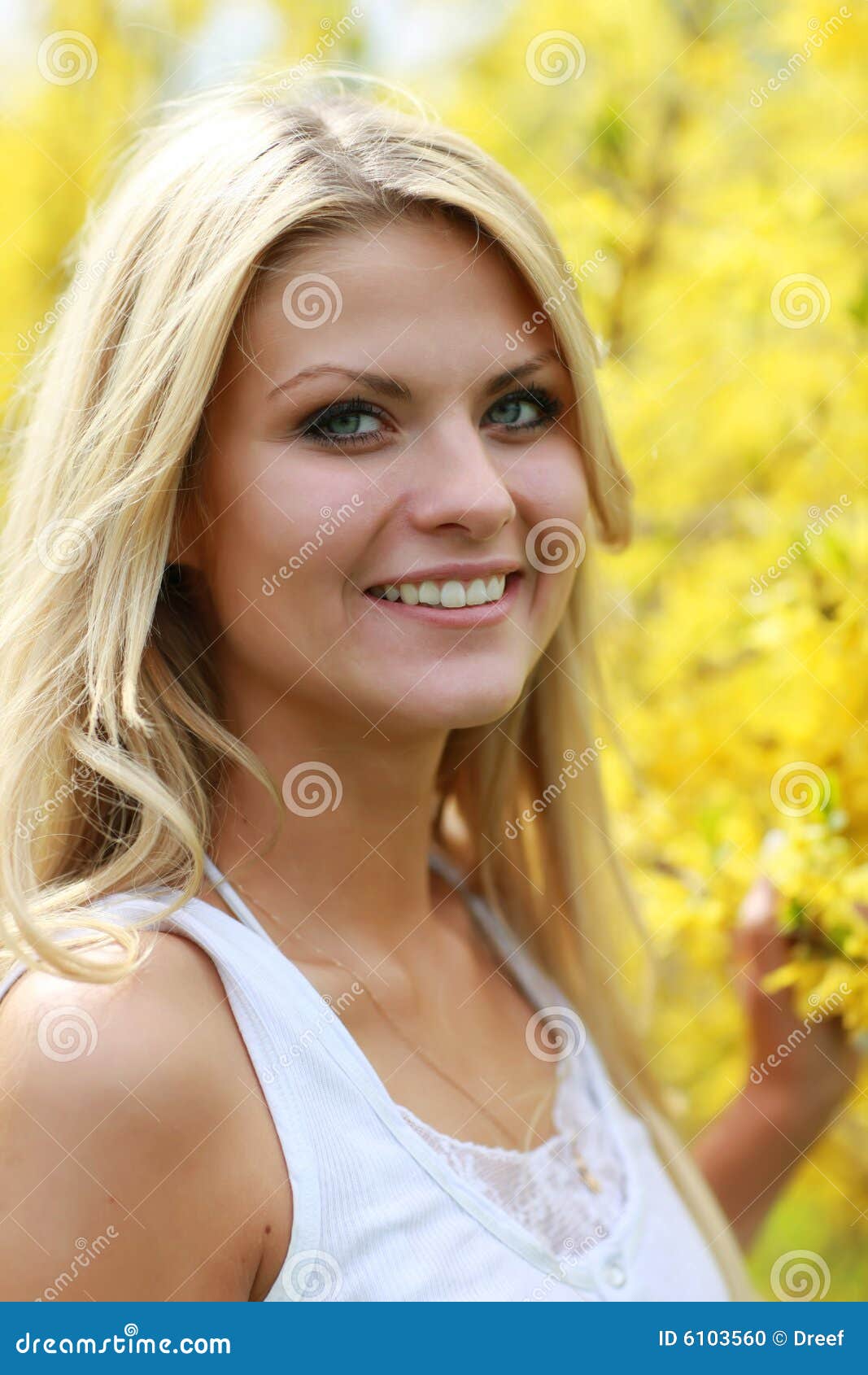 Yellow flowers stock photo. Image of blond, flower, spring 6103560