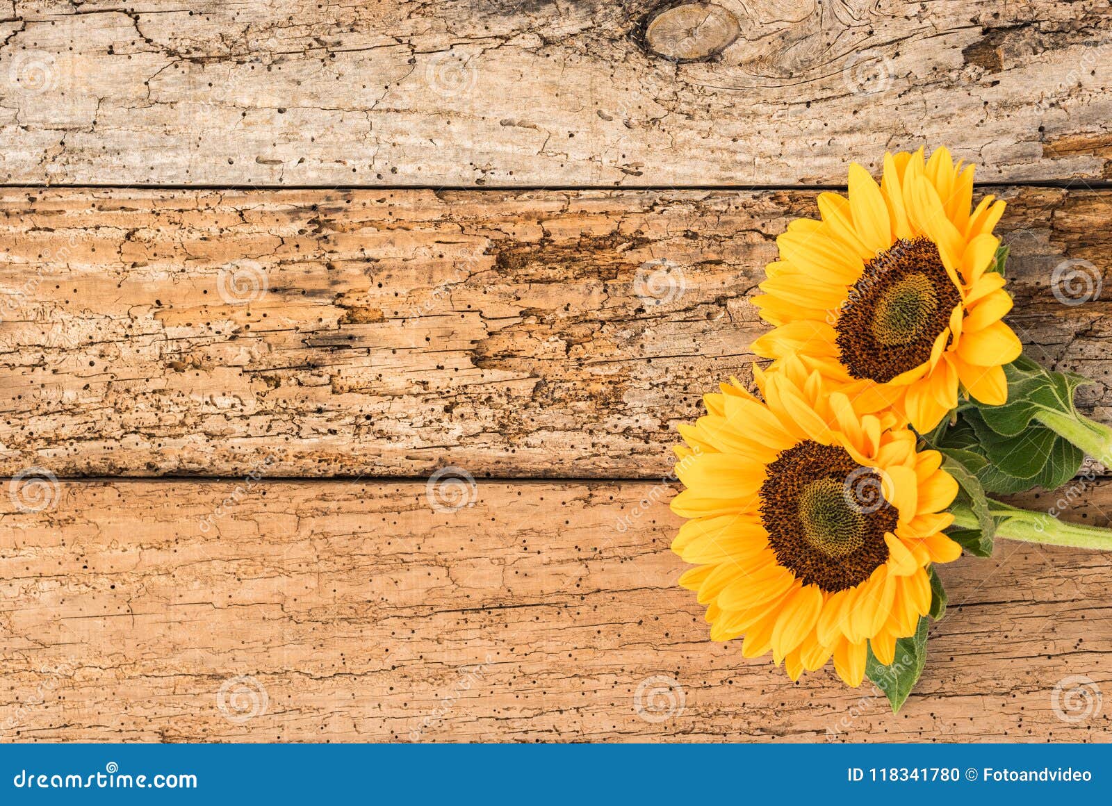 Beautiful Yellow Summer Flowers on Rustic Old Wood Background with Copy  Space Stock Photo - Image of single, material: 118341780