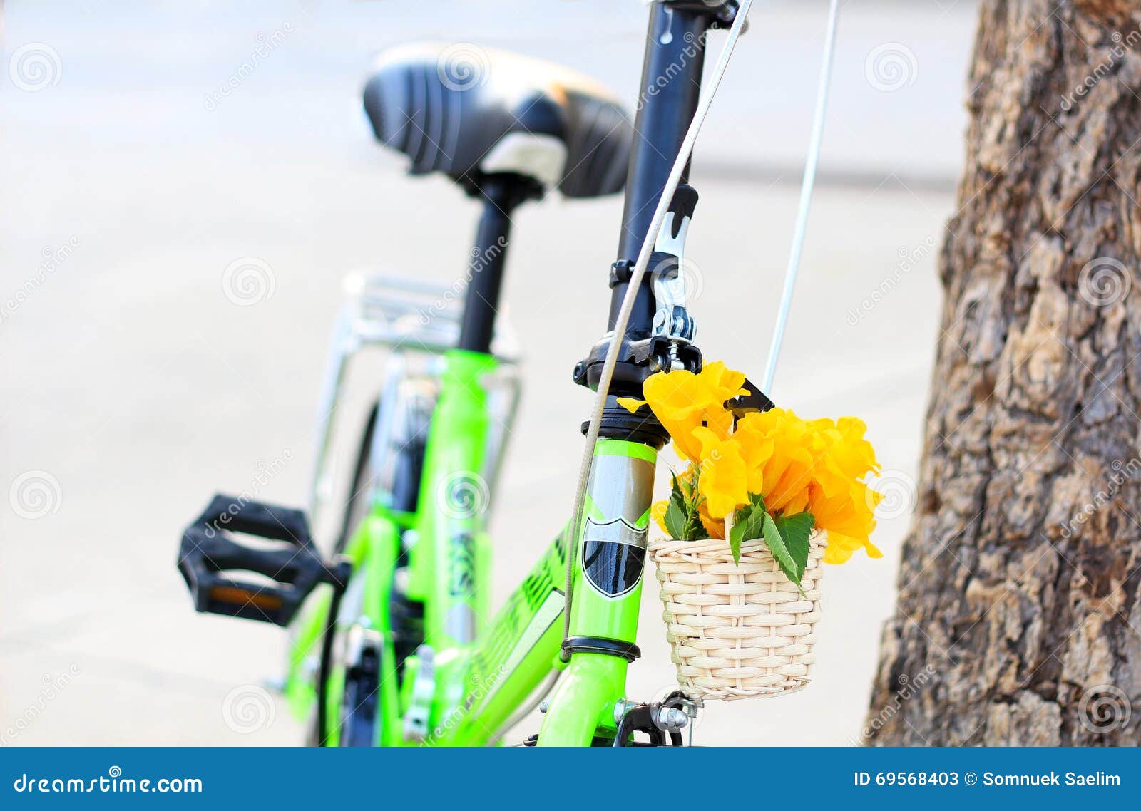 Yellow Flowers in a Basket on Bicycle Stock Image Image of cute