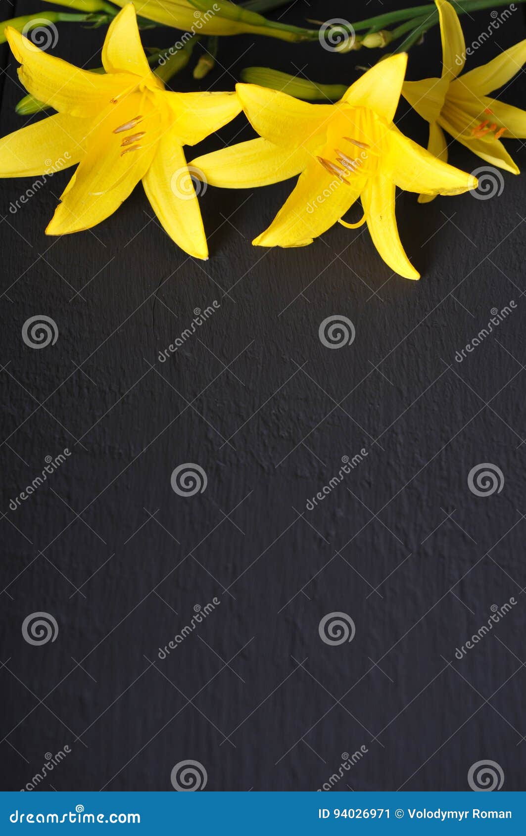 Yellow Flowers on a Black Background Stock Image Image of season, nature 94026971