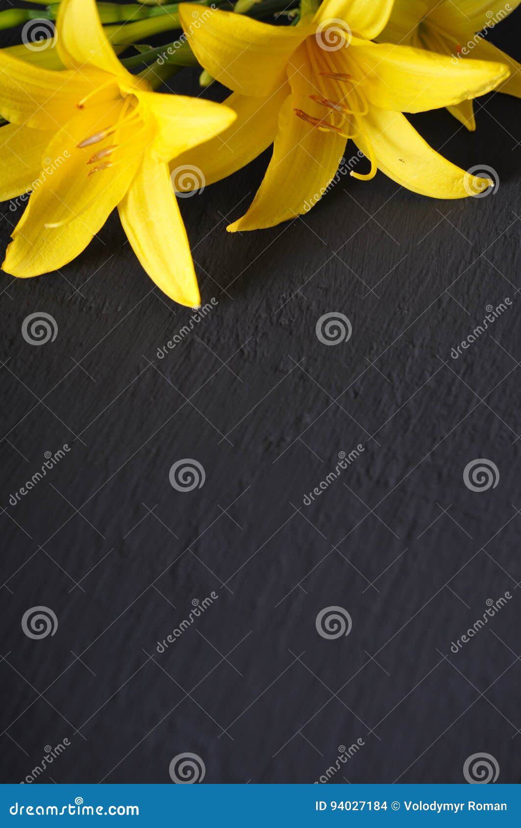 Yellow Flowers on a Black Background Stock Photo Image of love