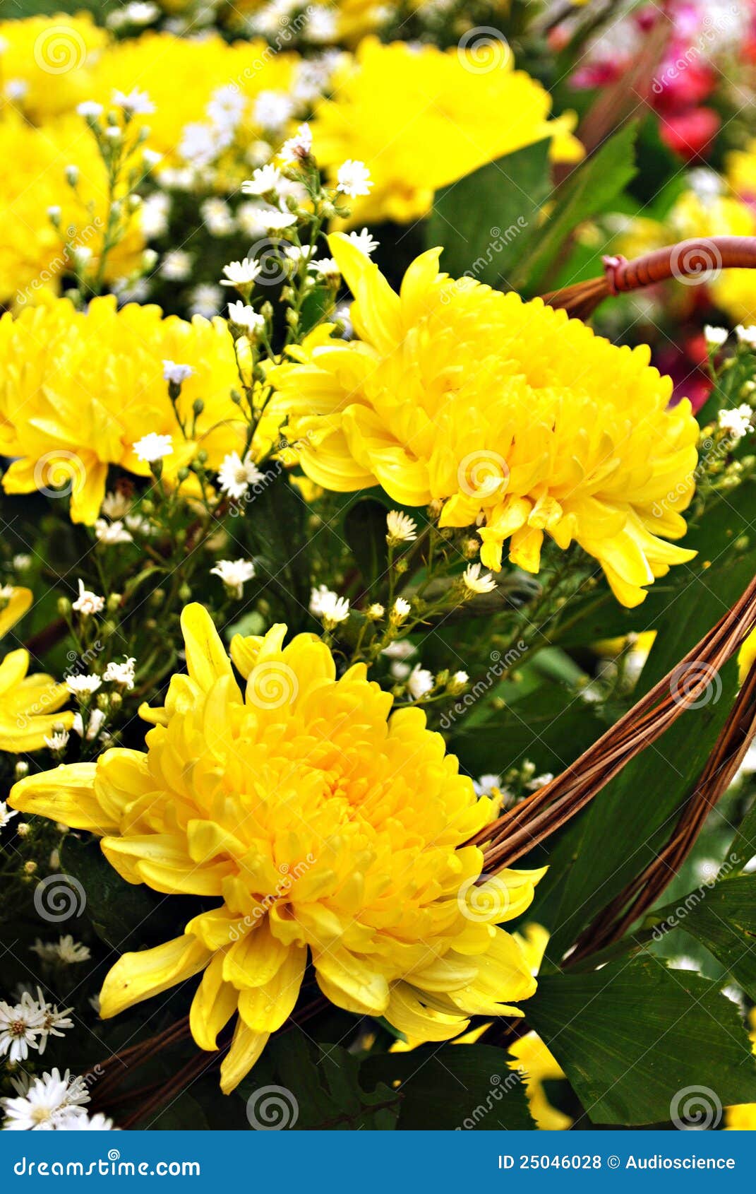 Yellow Flowers Bouquet stock photo. Image of garden, offering 25046028