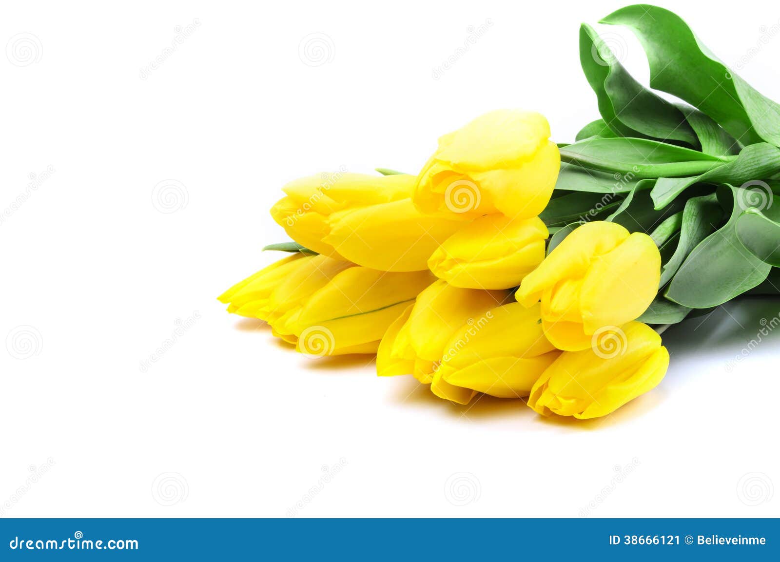 Yellow flowers stock image. Image of nature, flora, floral 38666121