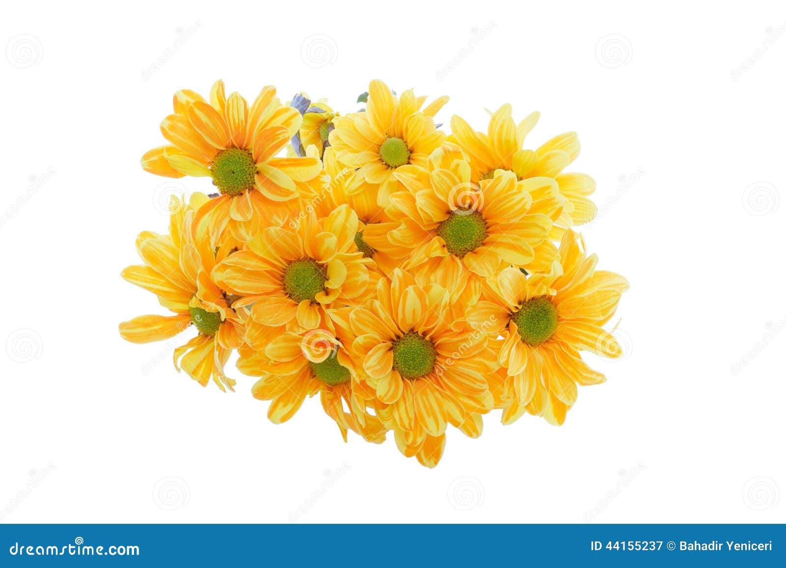 Yellow Flowers stock image. Image of bunch, closeup, design 44155237