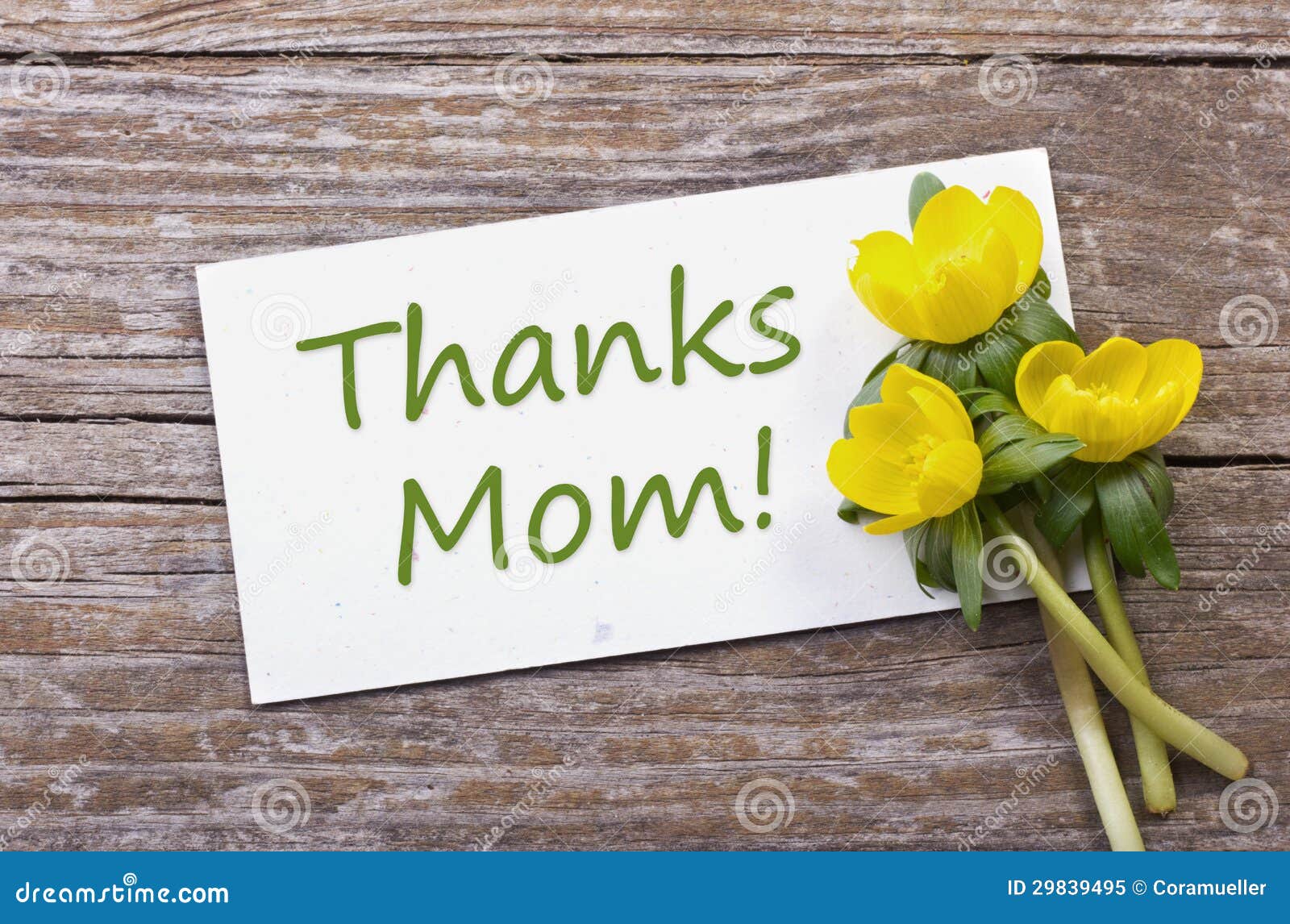704 Thanks Mom Photos Free Royalty Free Stock Photos From Dreamstime 704 Thanks Mom Photos Free Royalty Free Stock Photos From Dreamstime