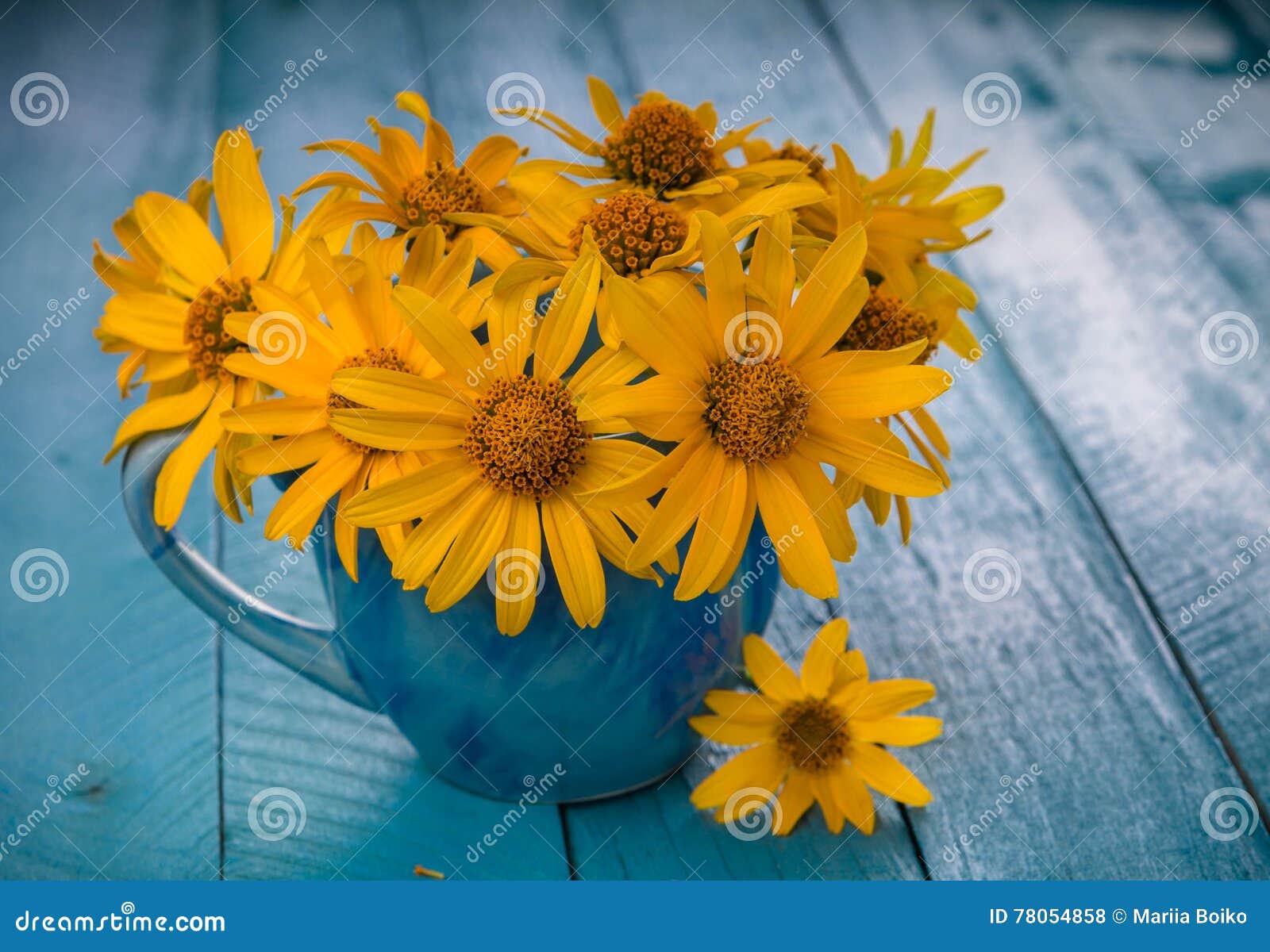 Yellow flowers in a cup stock photo. Image of flower 78054858