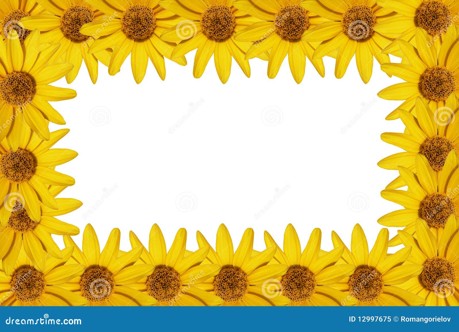 Yellow flowers frame stock image. Image of backgrounds 12997675