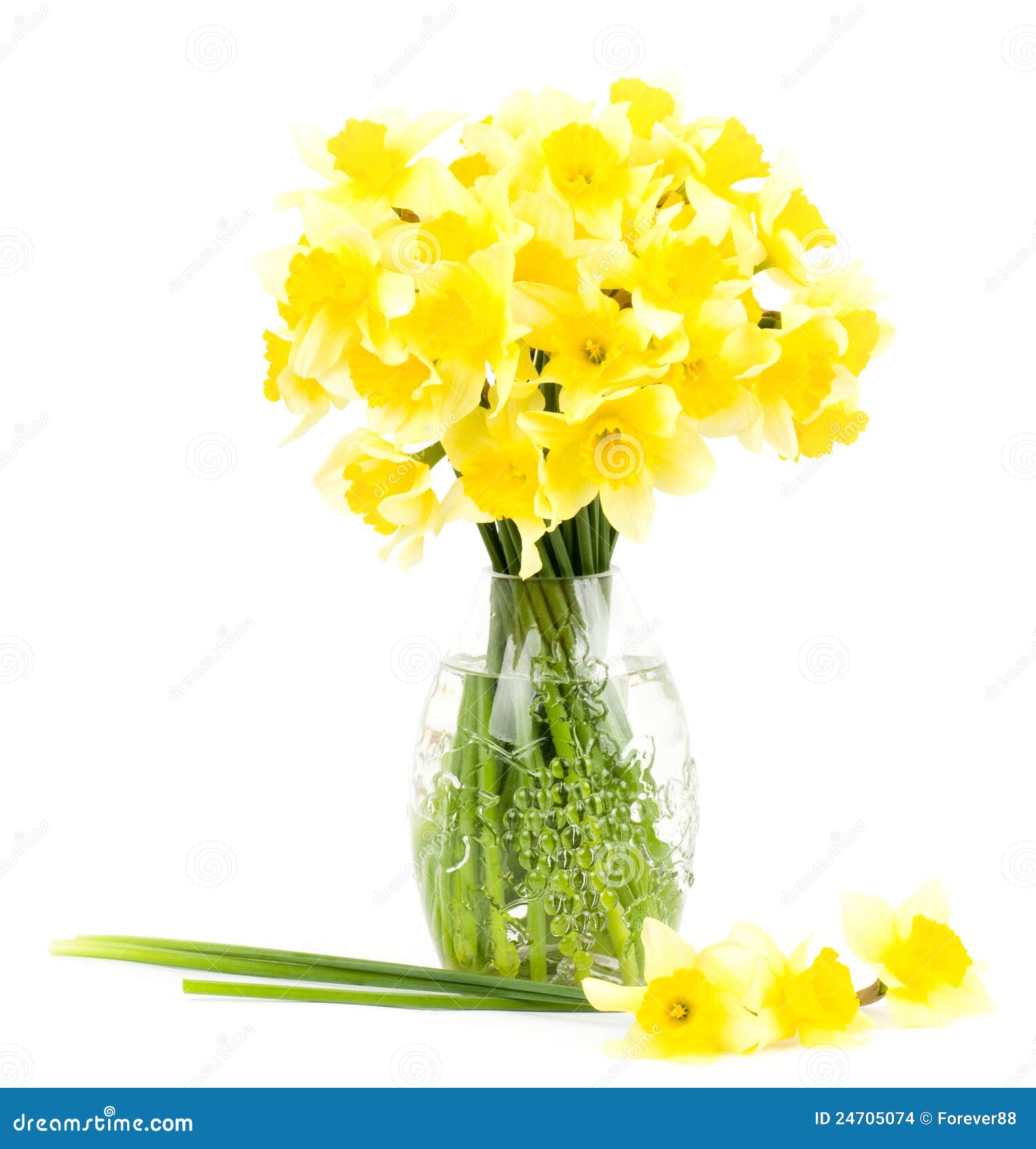 Yellow Flowers in a Glass Vase Stock Photo Image of bunch, flora