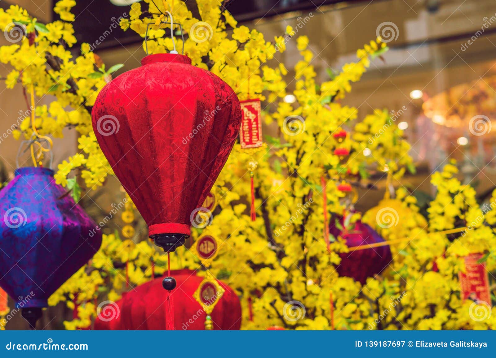 Yellow Flowers In Honor Of The Vietnamese New Year Lunar New Year Flower Market Chinese New Year Tet Stock Image Image Of Fair Background
