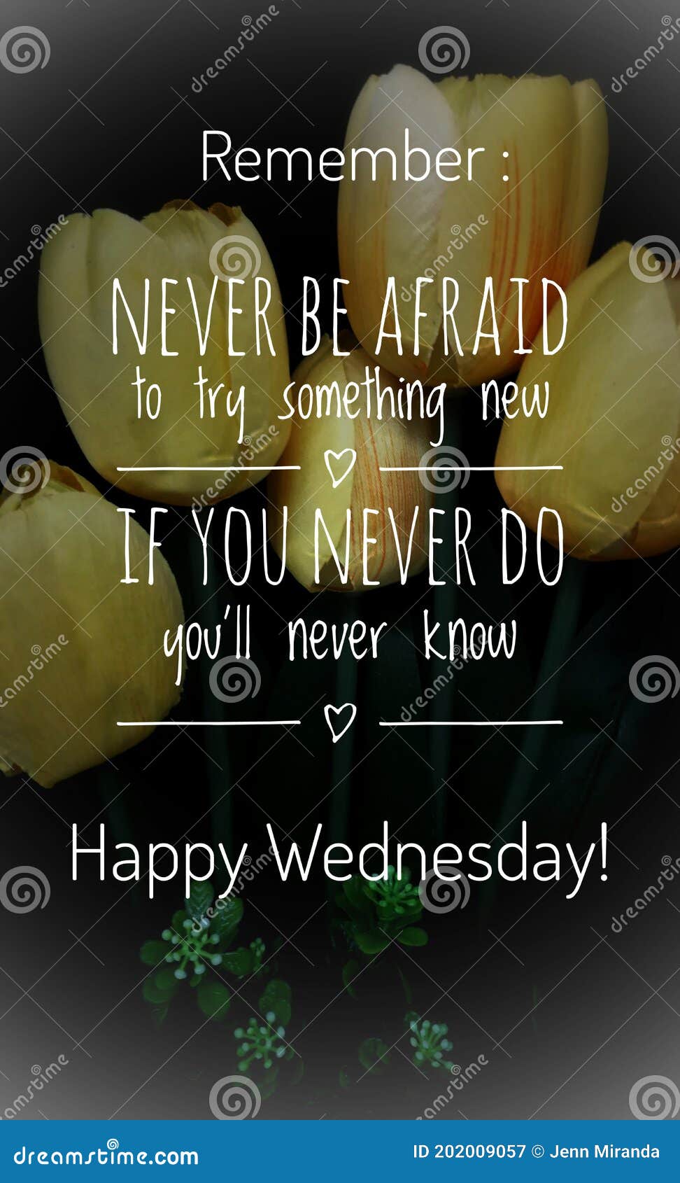 Image with Wordings or Quotes for Happy Wednesday Stock Image ...