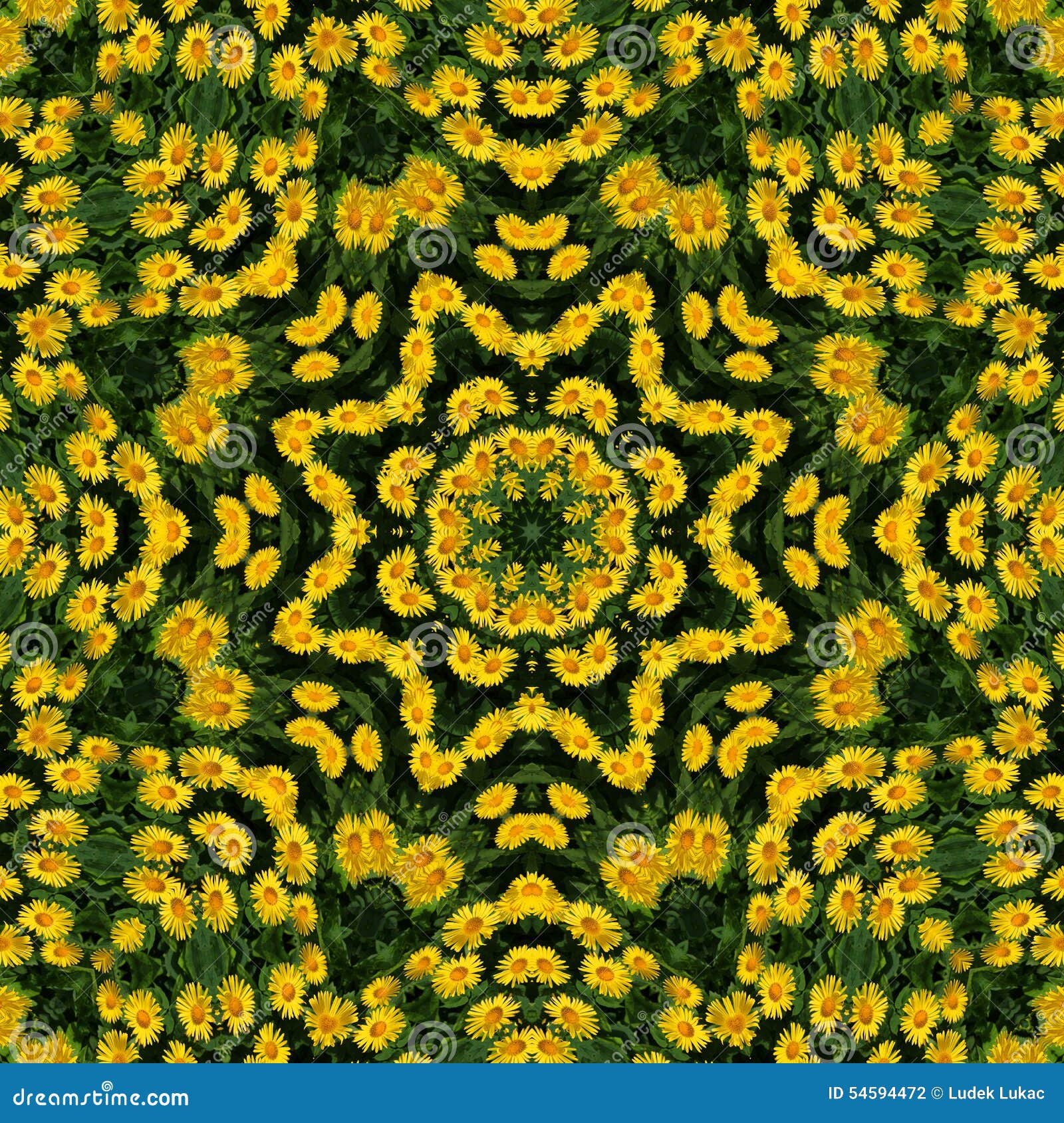 Yellow Flowers Kaleidoscope Stock Photo Image of seed, elements 54594472