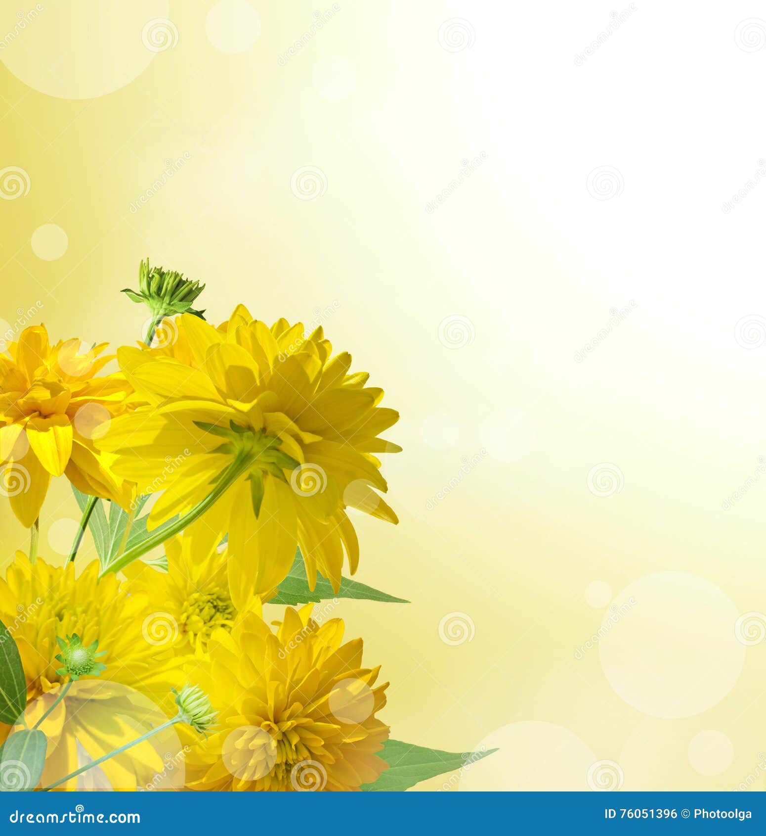 Yellow Flowers on Light Yellow Background Stock Photo - Image of background,  field: 76051396