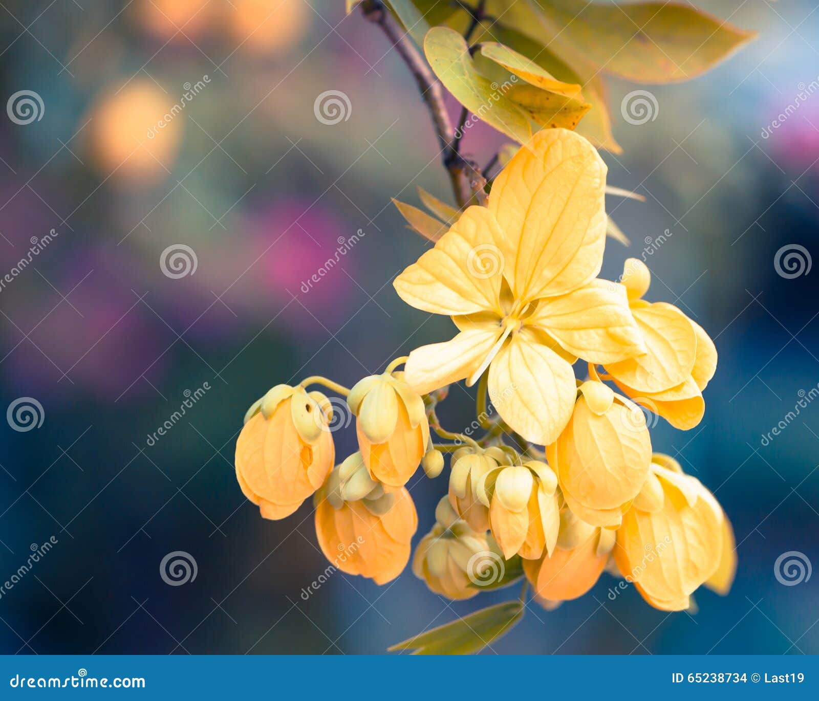 120,317 Gold Flowers Stock Photos - Free & Royalty-Free Stock Photos from  Dreamstime
