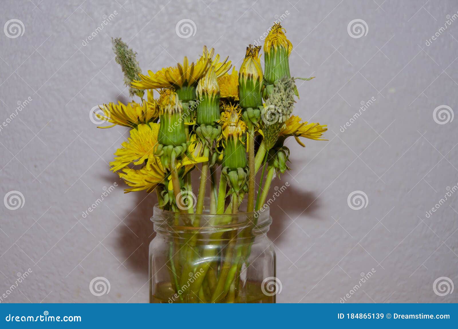 Yellow flowers in vase stock image. Image of nature 184865139