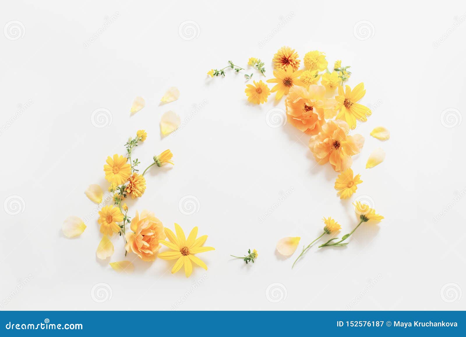 Yellow Flowers on White Background Stock Image - Image of paper, floral ...