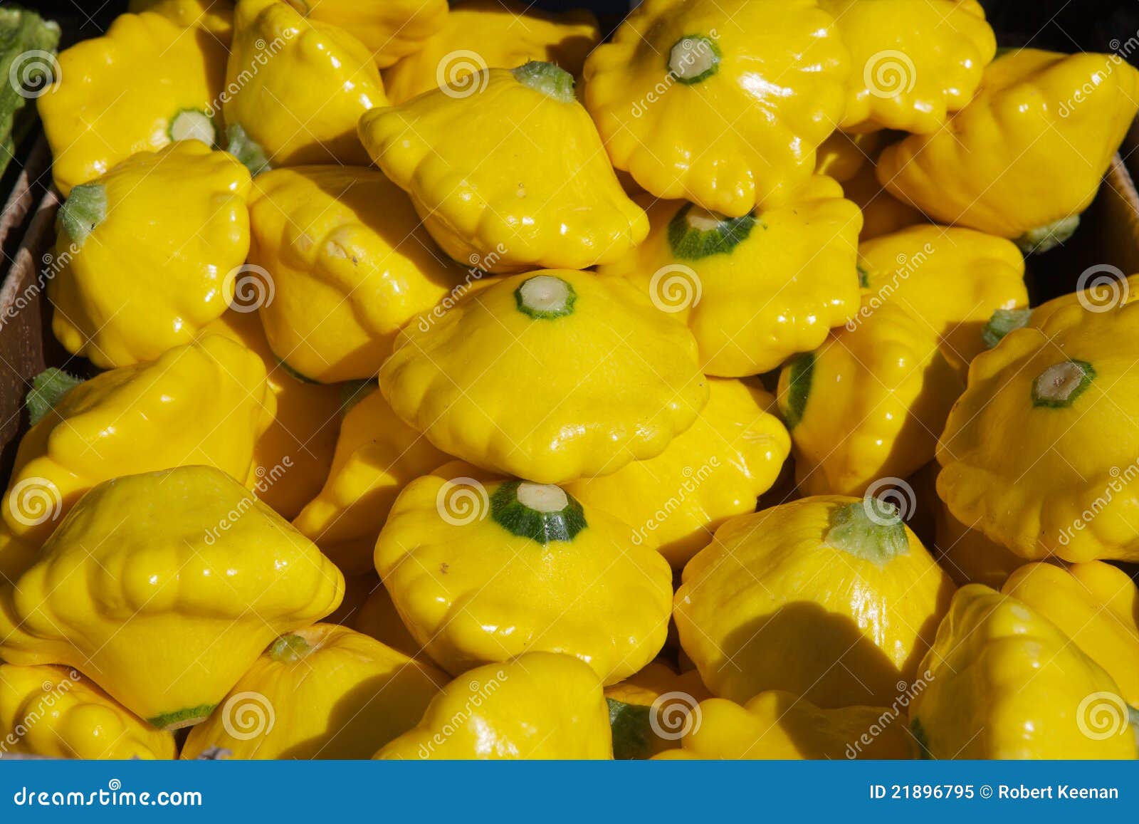 Yellow Flying Saucer Squash Stock Image Image of shiney, ingredient