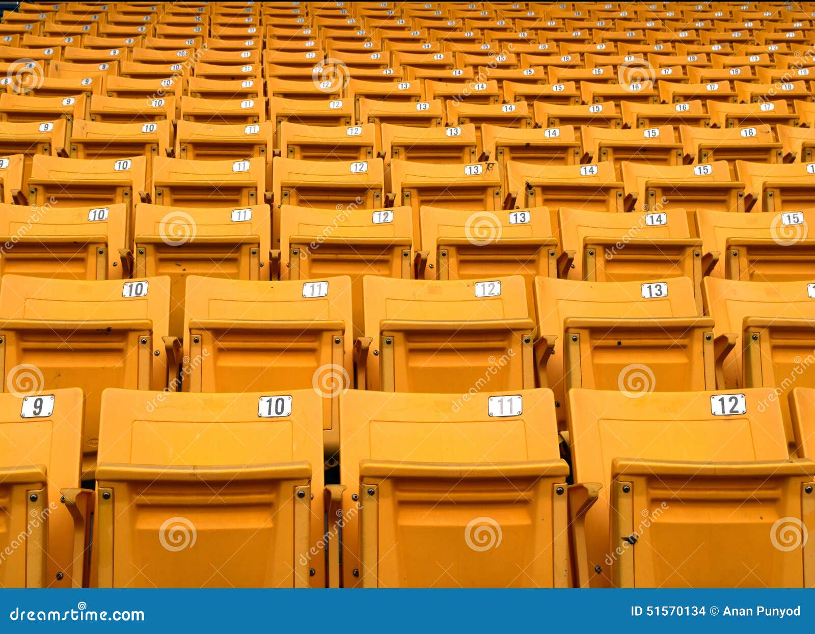 Yellow Folding Chairs Lined on the Stadium Sport Stock Photo Image of