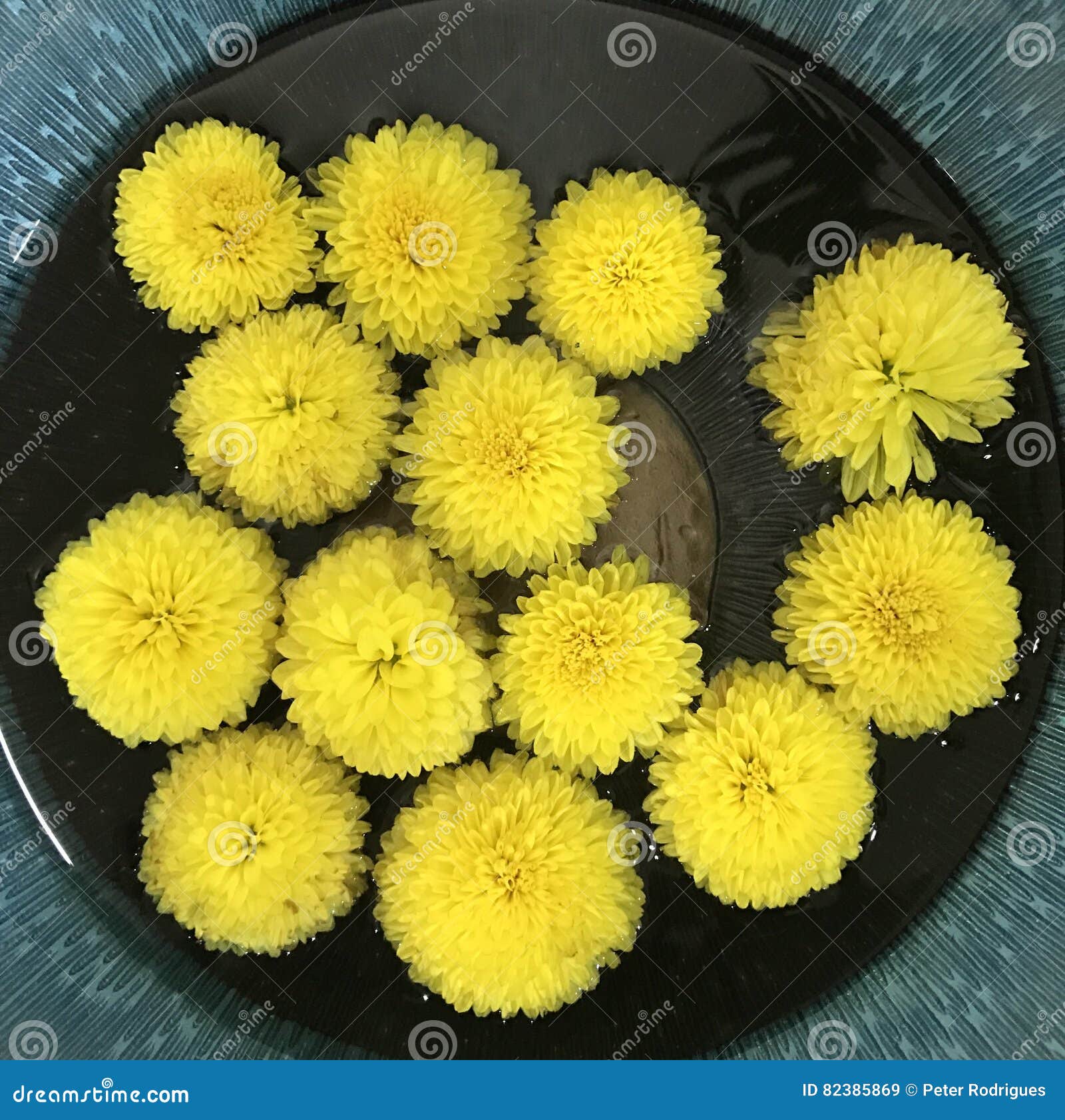 Yellow Fresh Flowers Water Bowl Stock Image Image of flowers, fresh
