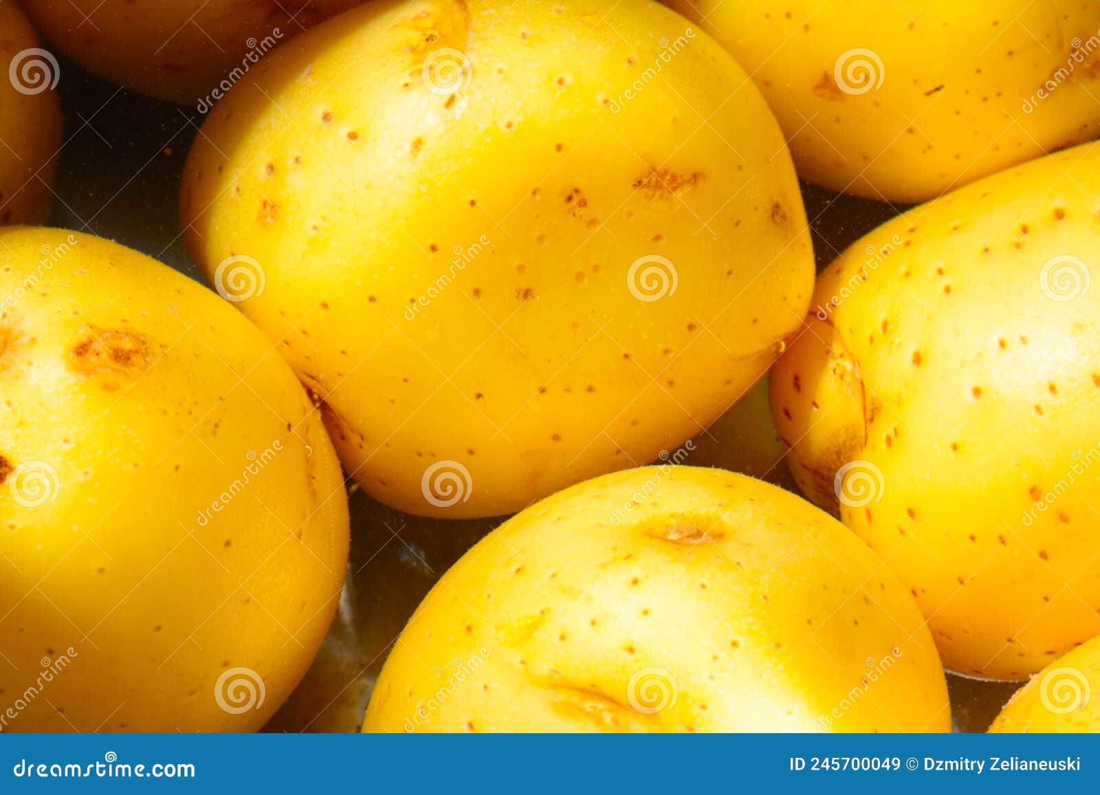 Yellow Fresh Potatoes are Boiled in Water Stock Image Image of fresh, ingredient 245700049