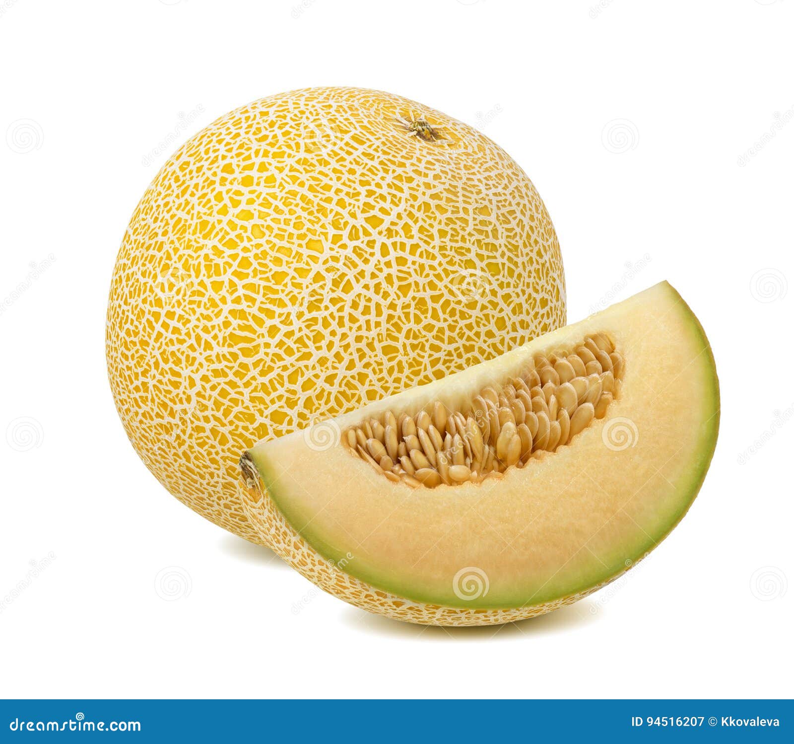 Galia Melon Stock Photography CartoonDealer 14401508 galia-melon-stock-photography-cartoondealer-14401508