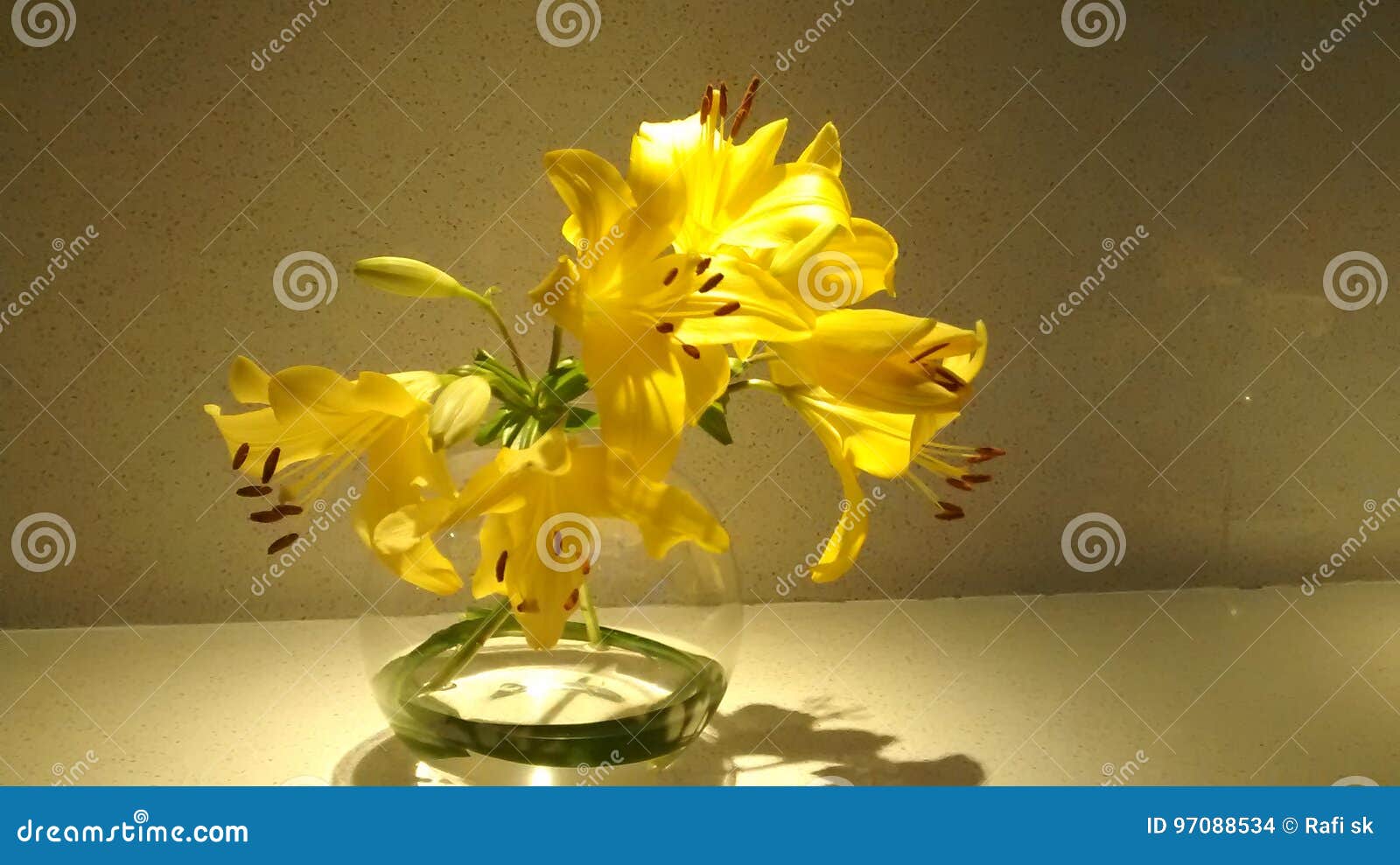 Yellow gold flower stock photo. Image of yellow, beauty 97088534