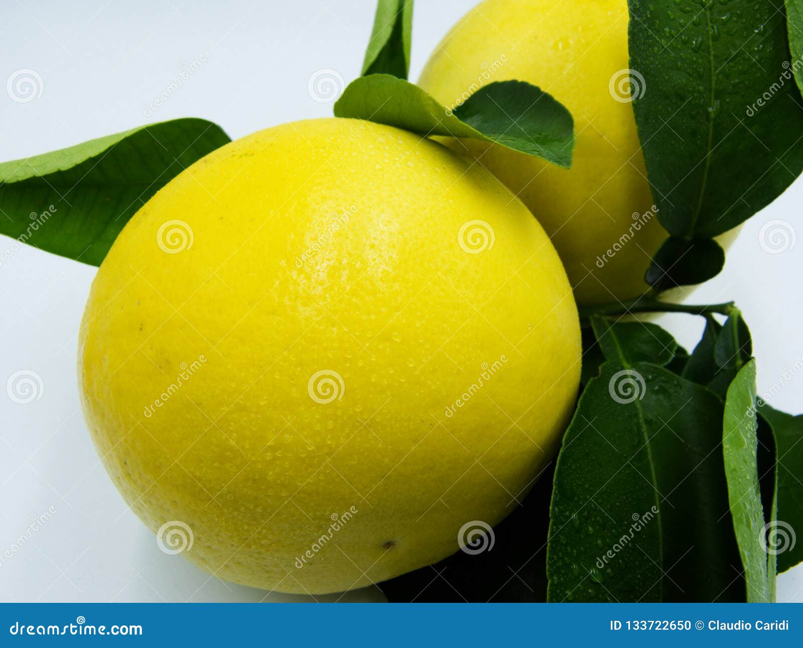 yellow grapefruit yellow grapefruit