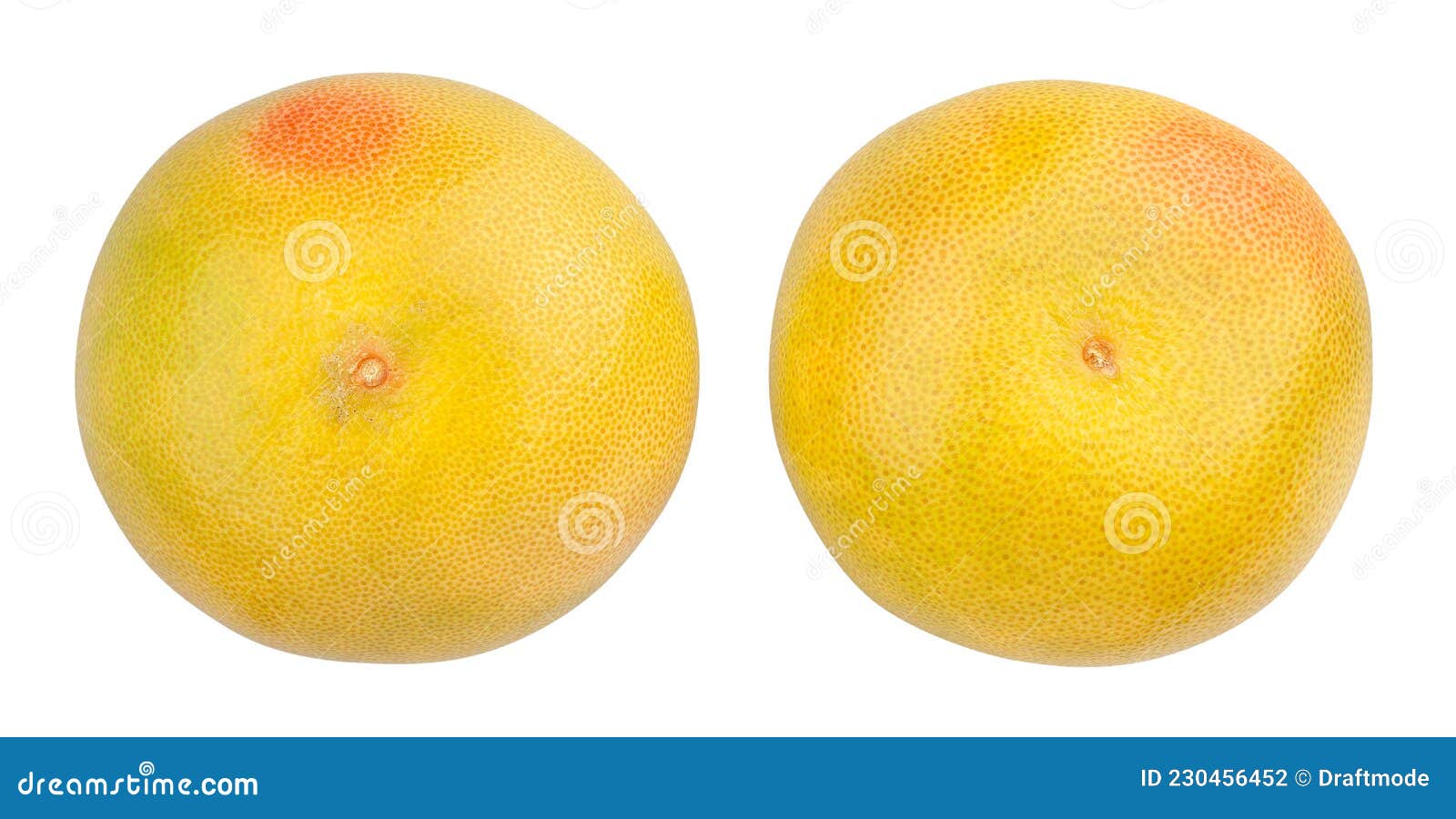 Yellow grapefruit stock photo. Image of tasty, studio 230456452