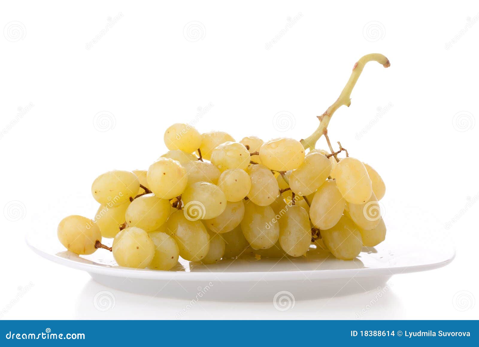 Yellow grapes stock photo. Image of organic, green, cluster 18388614