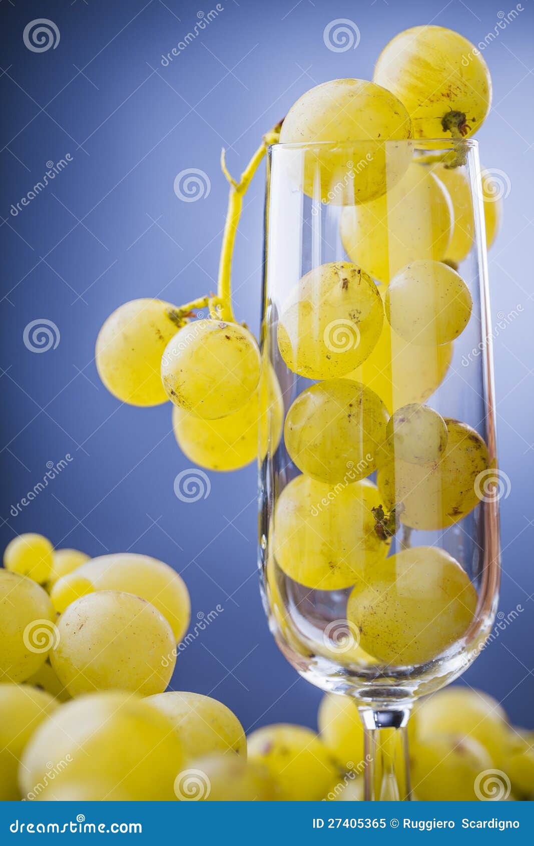 Yellow grapes stock image. Image of branches, season 27405365