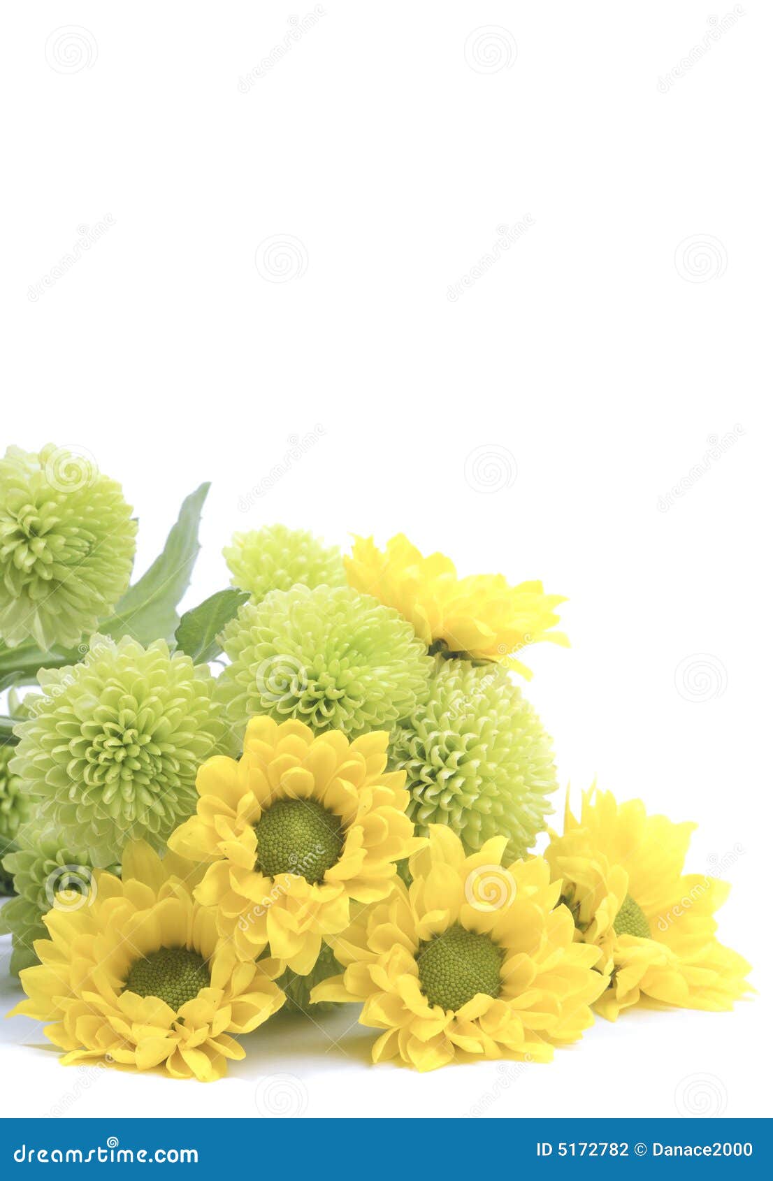 Yellow and green flowers stock photo. Image of fragrant 5172782