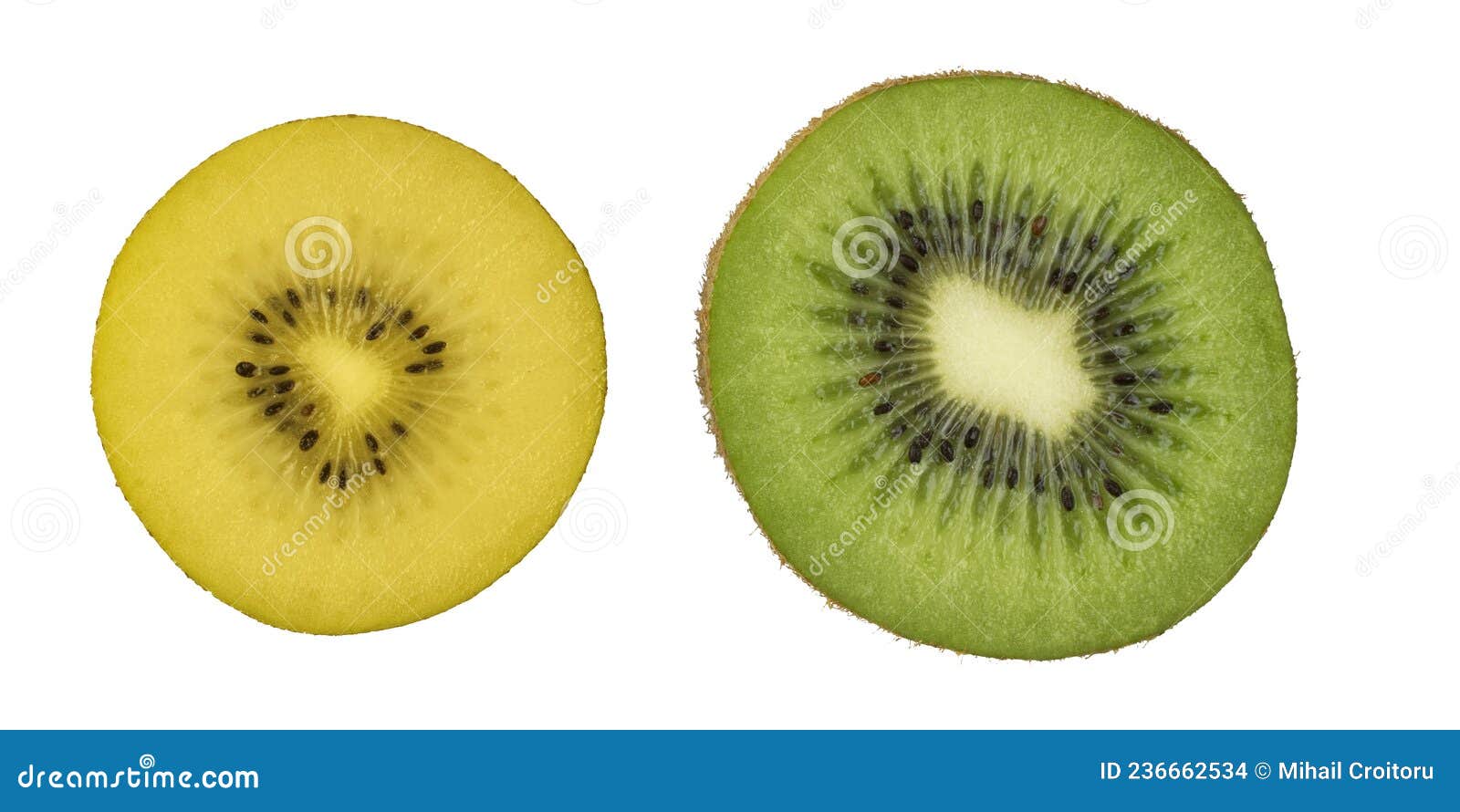 Kiwi Stock Fruits. - desert: on Background. Bio of Green White Slice and 236662534 Yellow Fruit freshness, Image Photo a