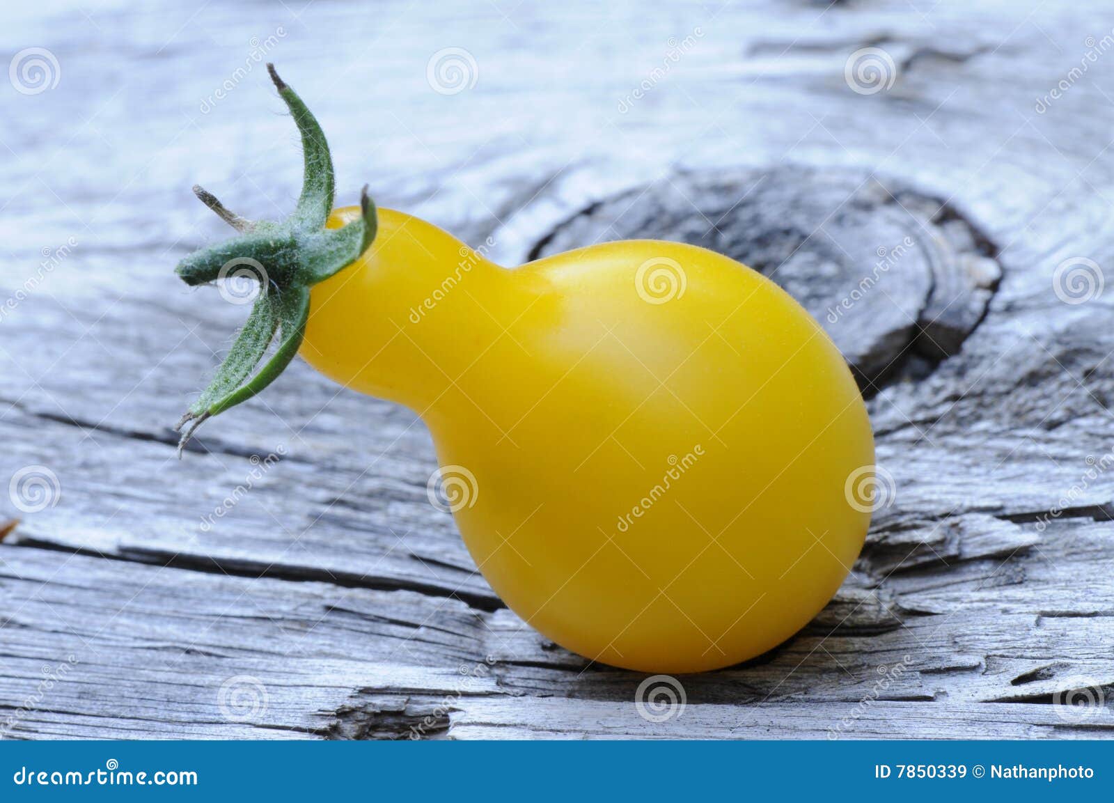 Yellow heirloom tomato stock image. Image of organic, pear 7850339