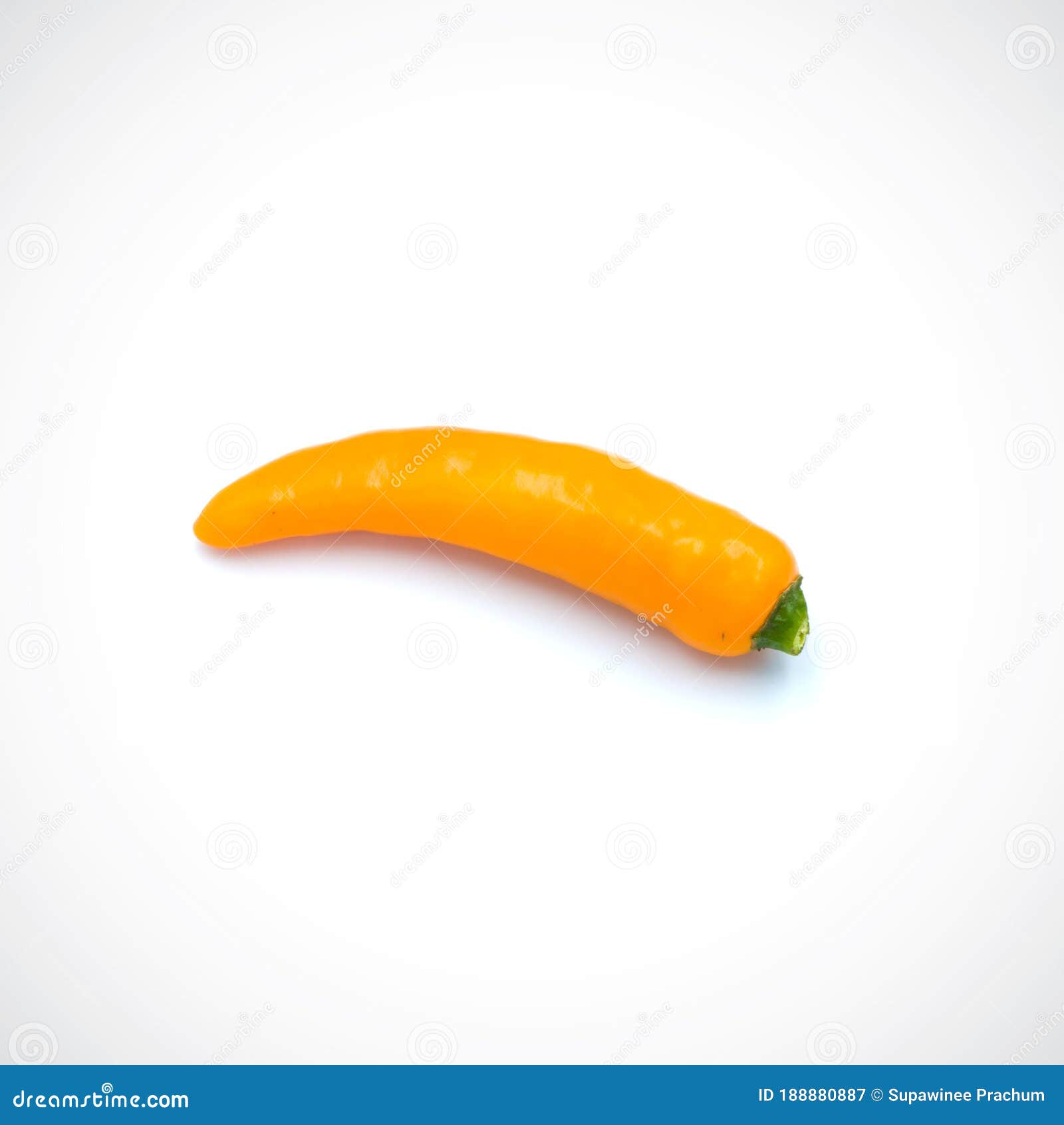 Yellow Hot Chili Pepper Isolated on the White Background Stock Image