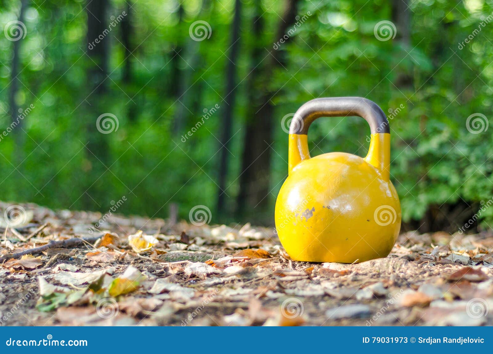 Yellow Old Heavy Kettlebell Weight As Gym Equipment in the Forest