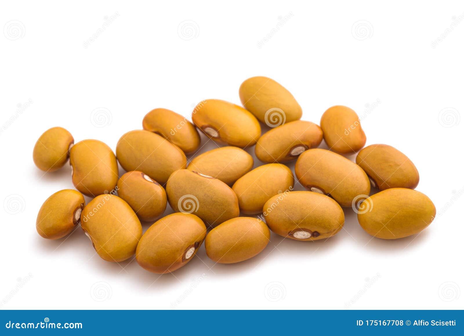 Yellow Kidney Beans Background, Texture Stock Photography