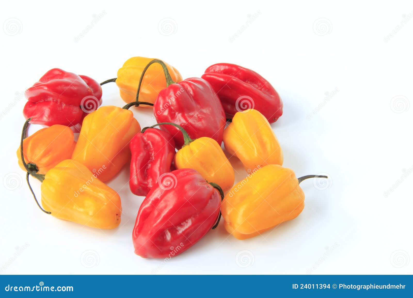 Yellow Lantern Chili stock photo. Image of sharply, landscape 24011394