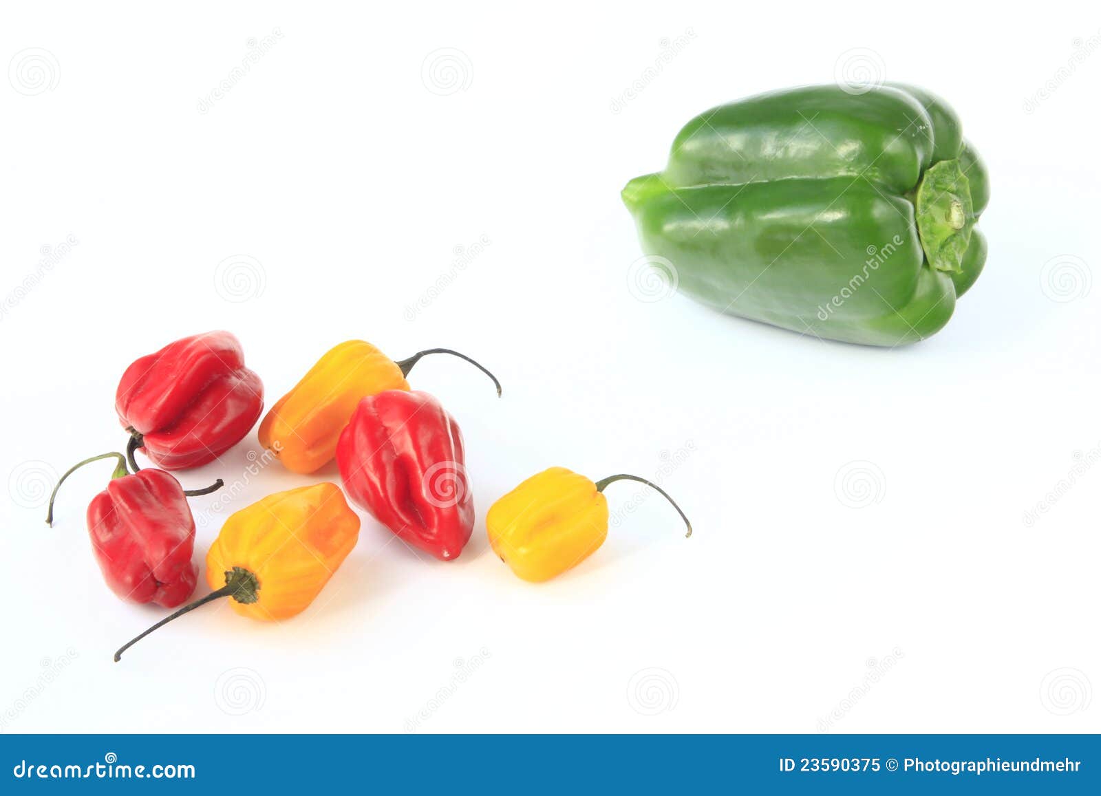 Yellow Lantern Chili and Green Bell Pepper Stock Image Image of