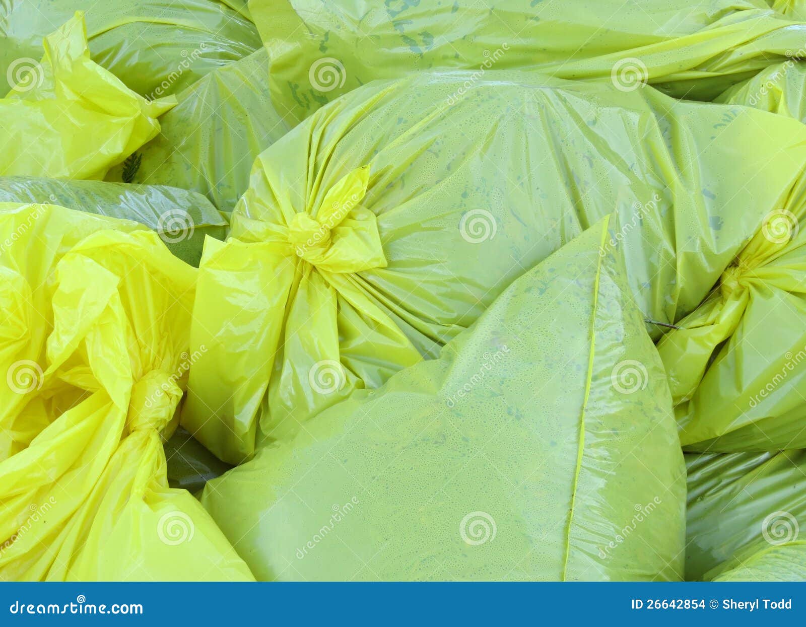 Yellow Lawn Trash Bags Full Stock Photo Image of plastic, city 26642854