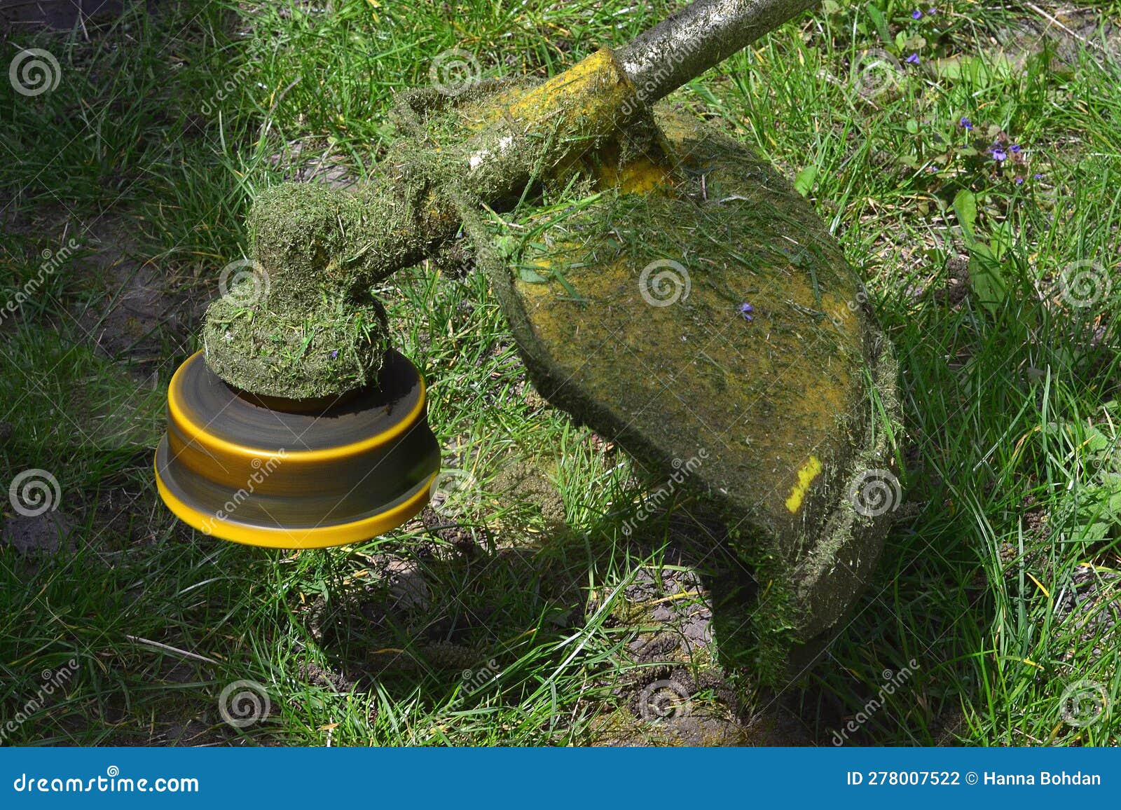This is a Yellow Lawnmower Mowing Green Grass in Spring Stock Photo