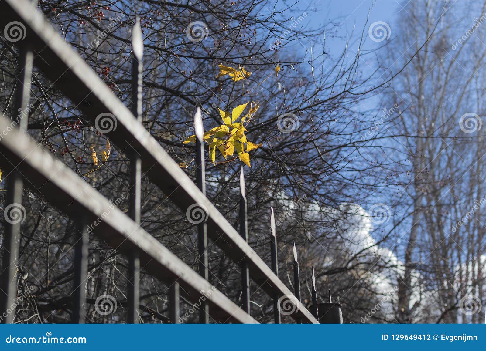 Yellow Sheet Above The Metal Fence. Stock Photo - Image of fence, iron ...
