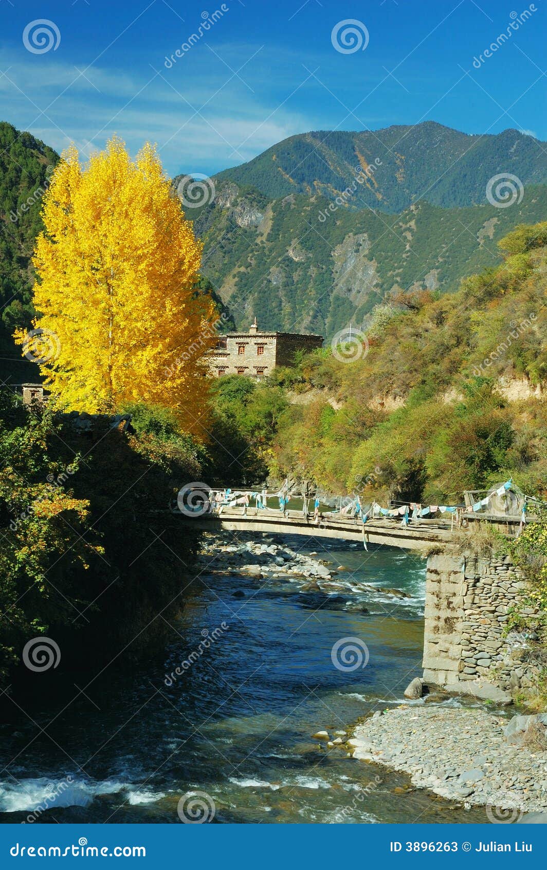 Yellow leaves and a brook stock image. Image of warm, vally 3896263