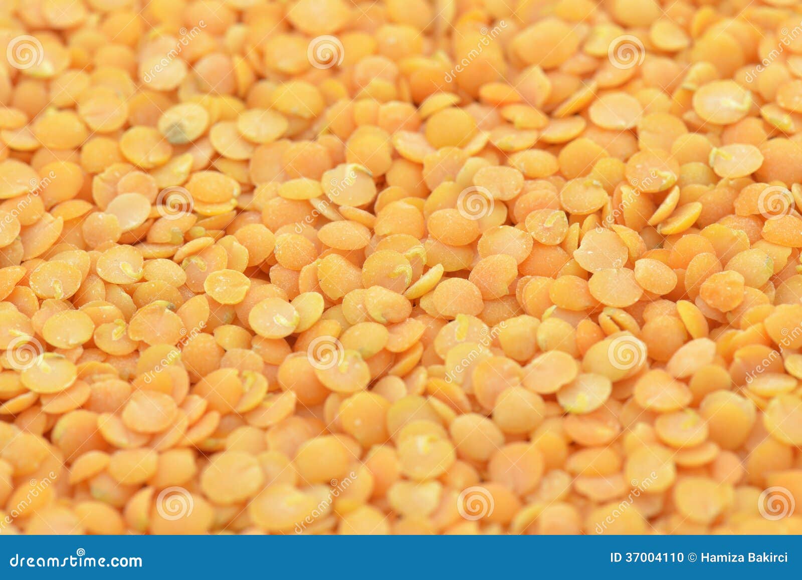 Yellow lentils stock photo. Image of natural, closeup 37004110