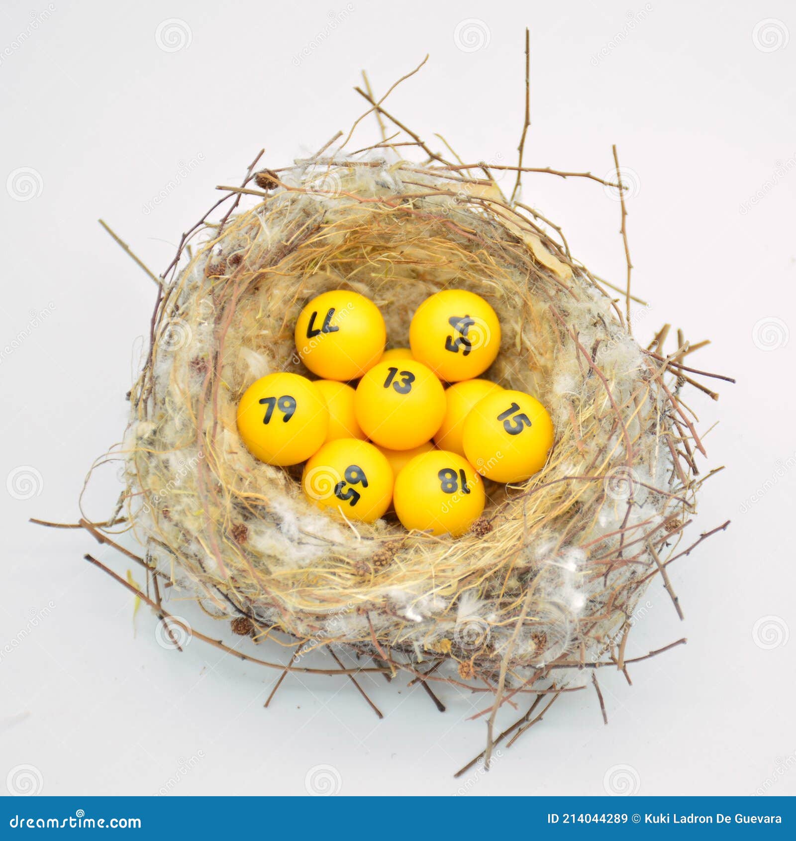 lottery balls in a nest